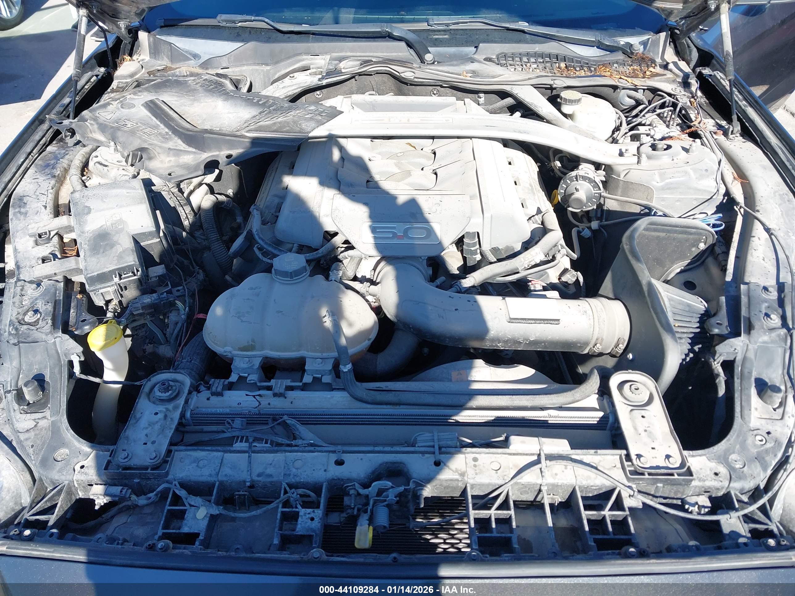 FORD MUSTANG image 10