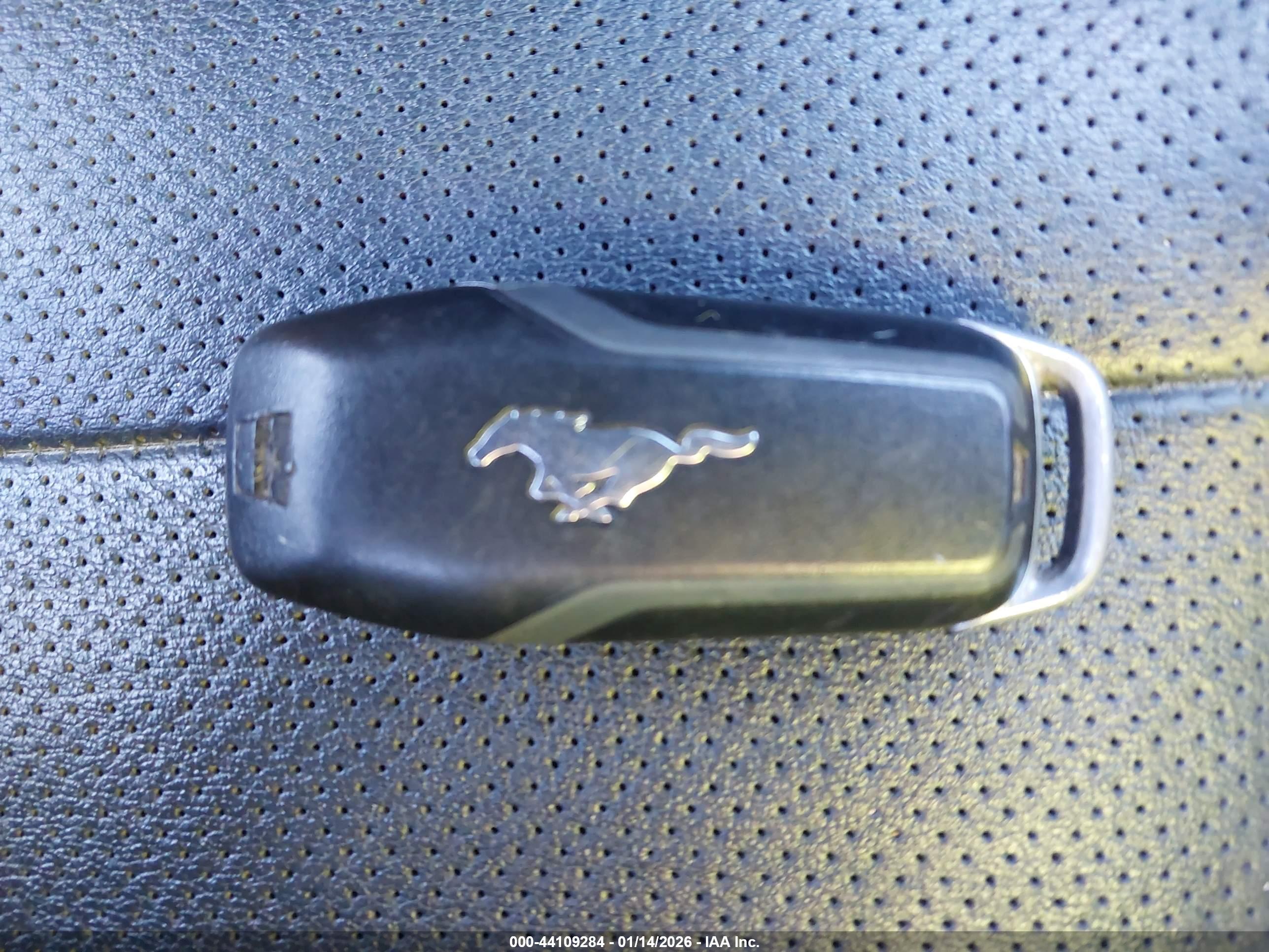 FORD MUSTANG image 11