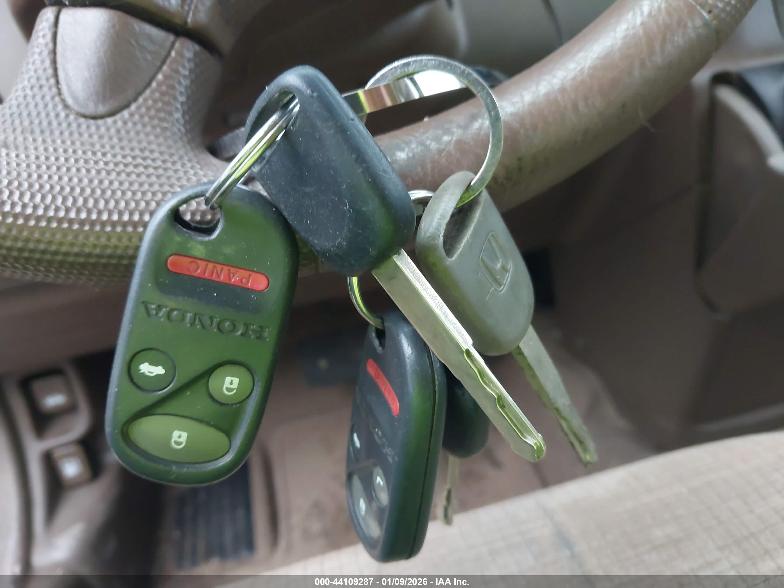 HONDA CR-V image 11