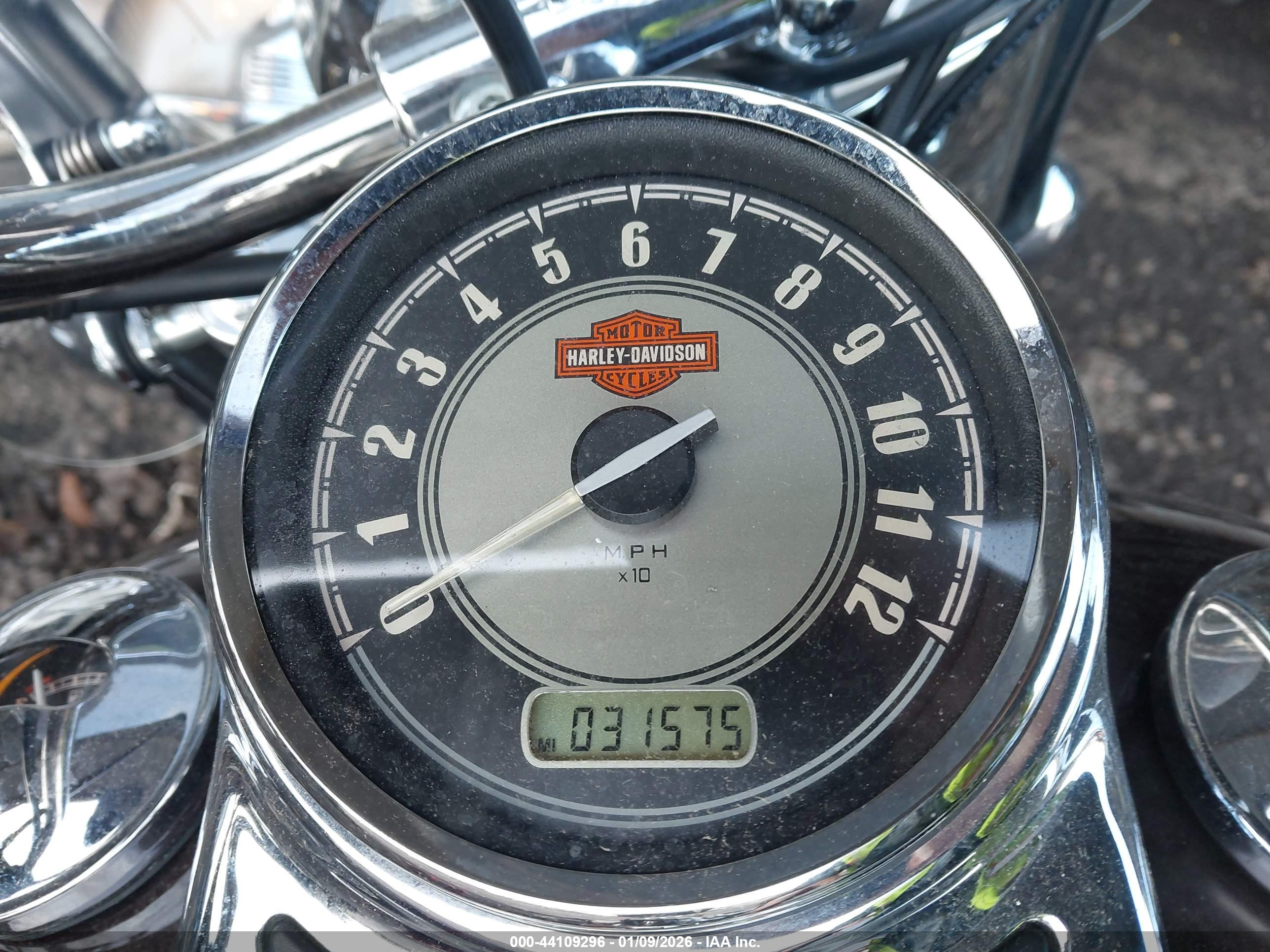 HARLEY-DAVIDSON FLSTC image 7
