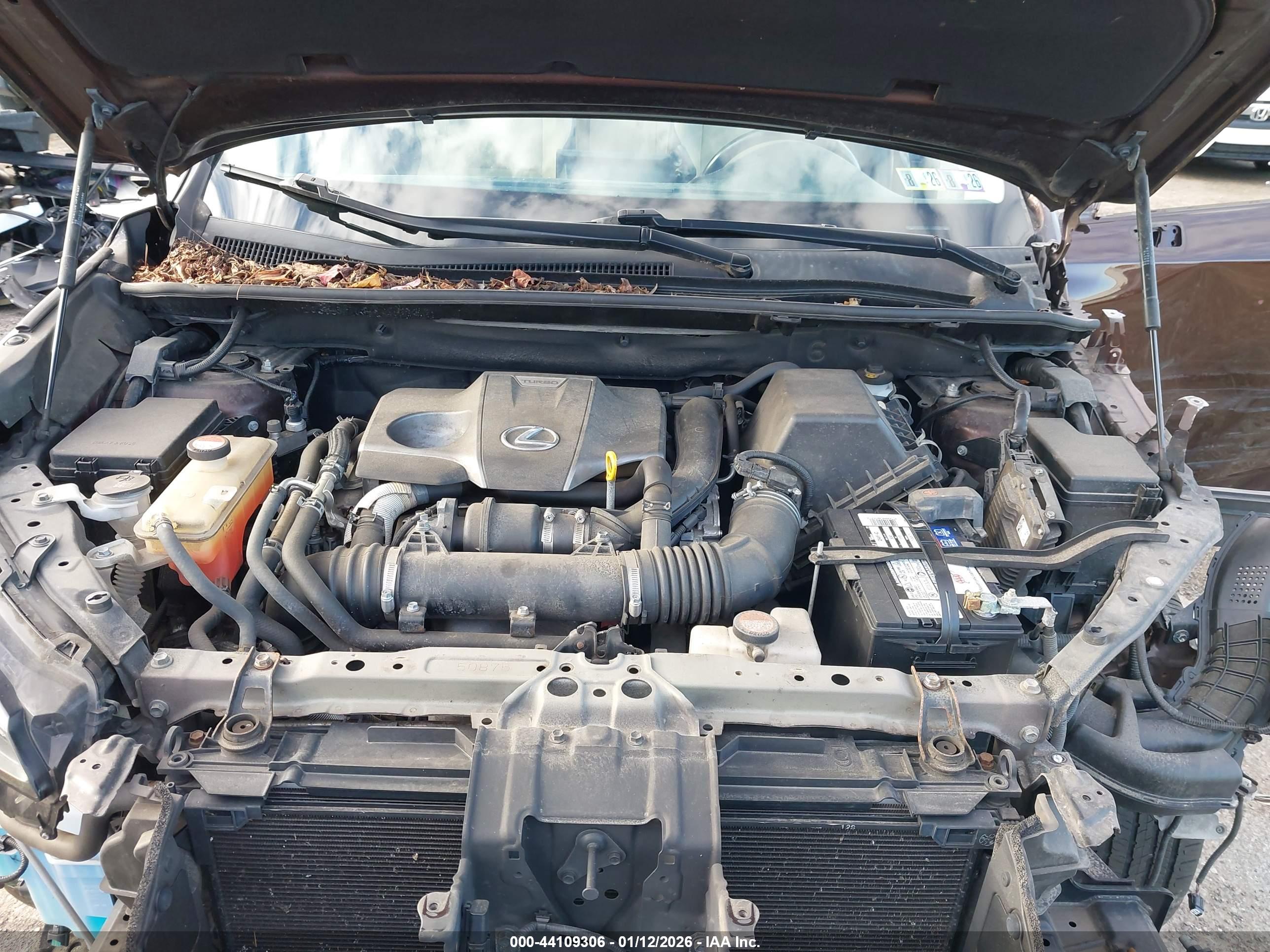 LEXUS NX image 10