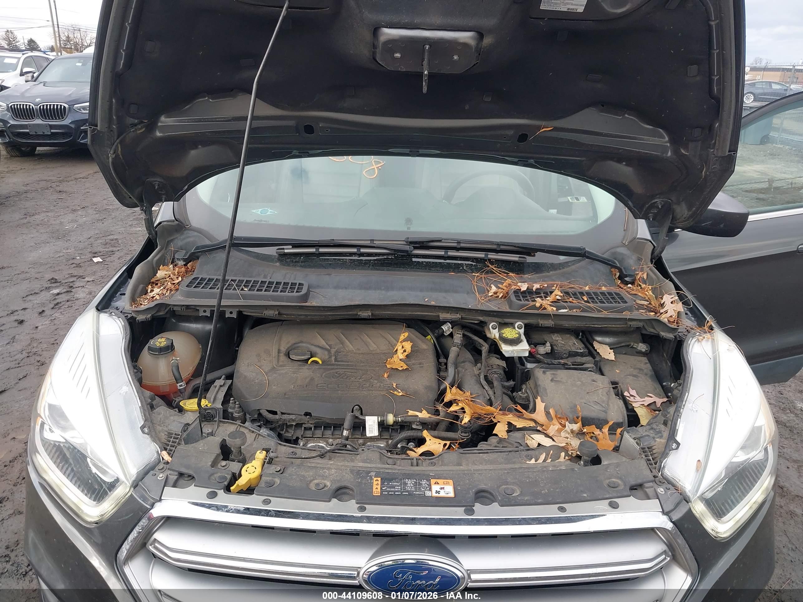 FORD ESCAPE image 10