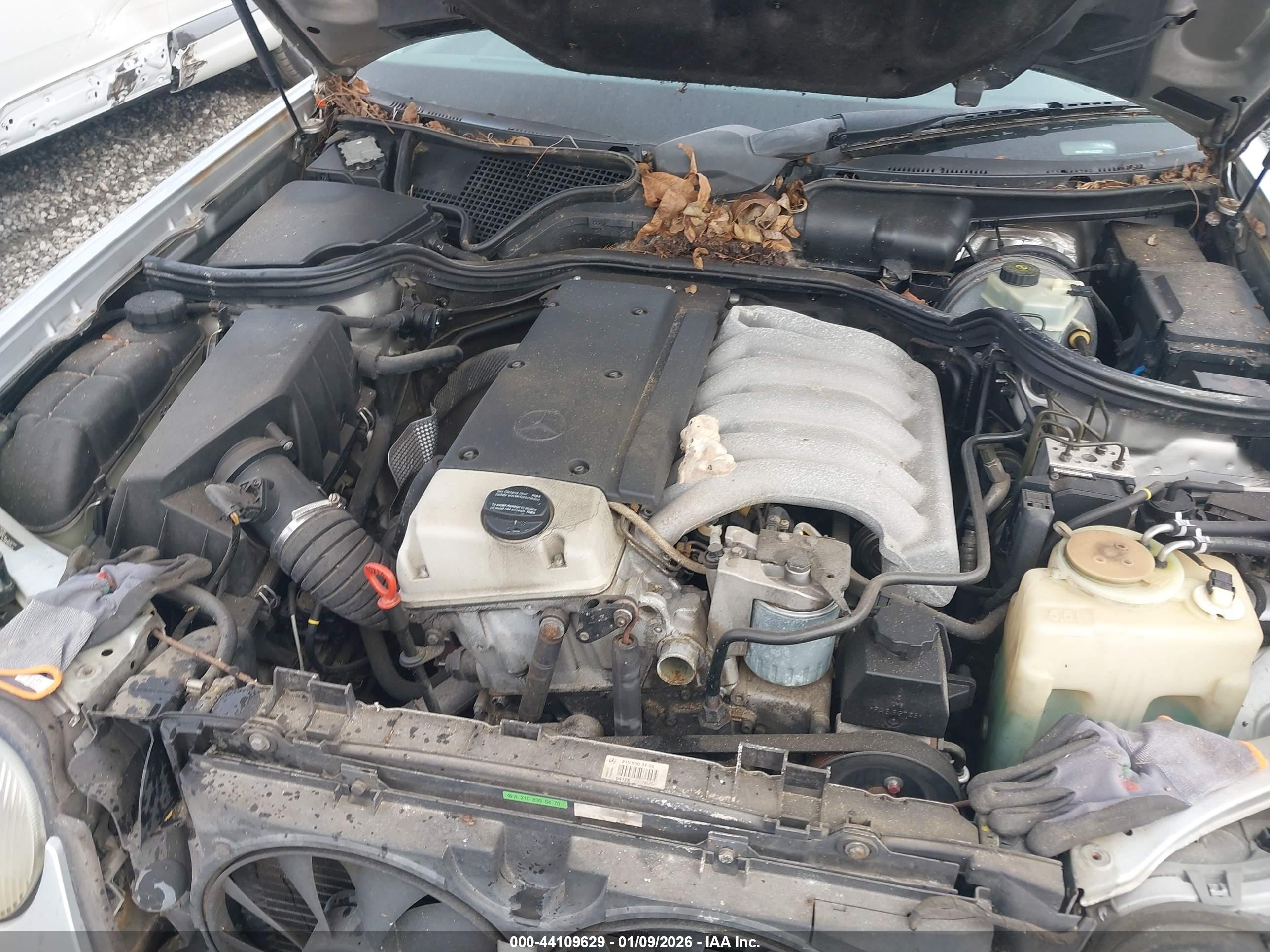 MERCEDES-BENZ E image 10