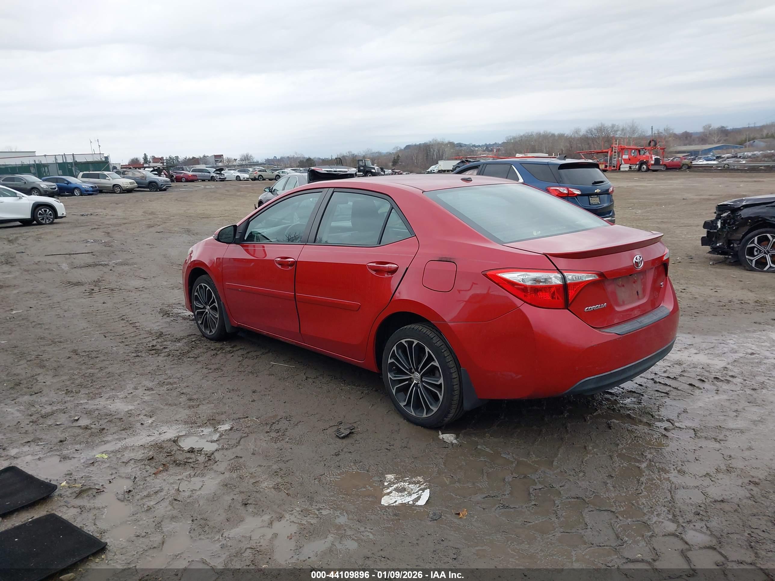 TOYOTA COROLLA image 3
