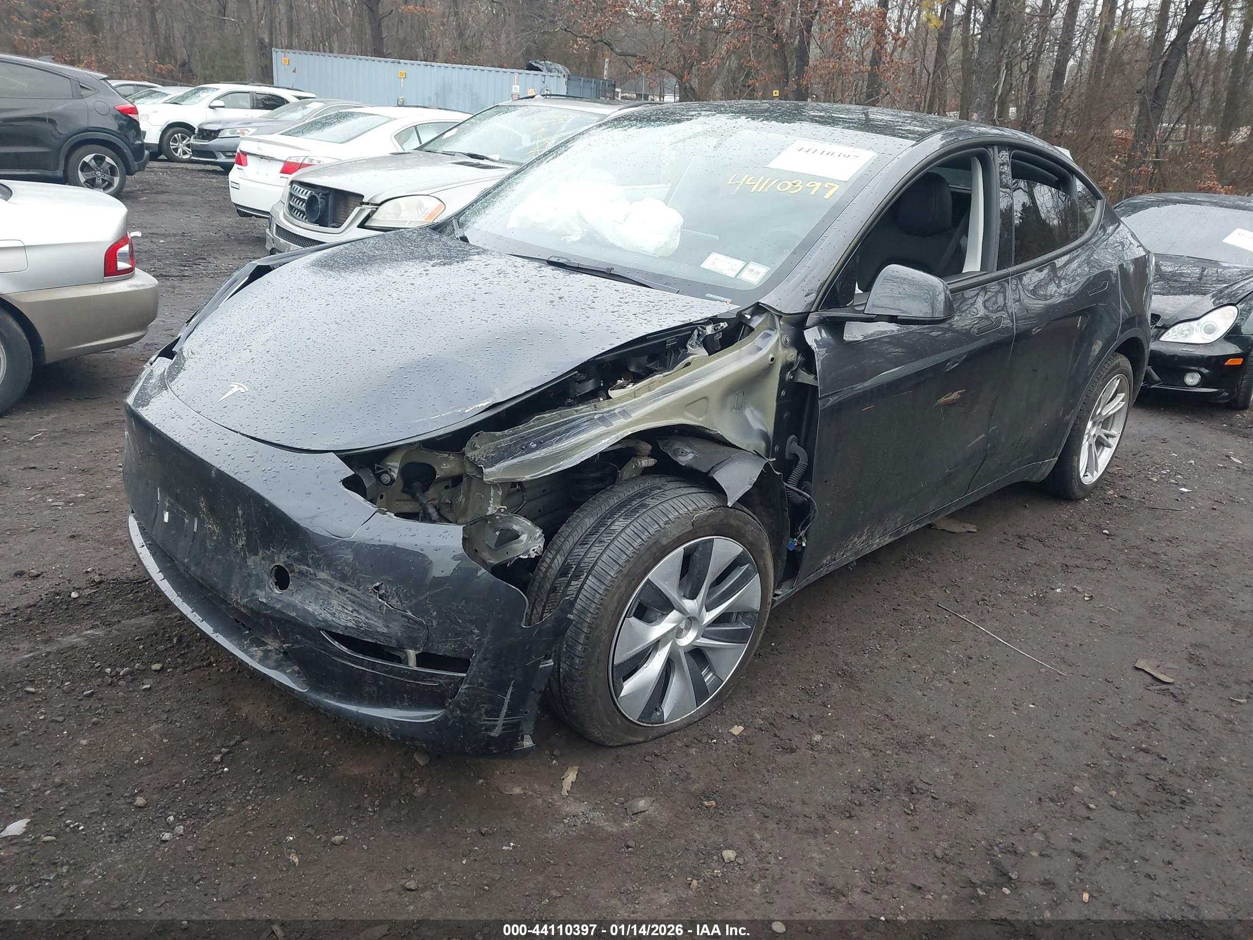 TESLA MODEL image 2