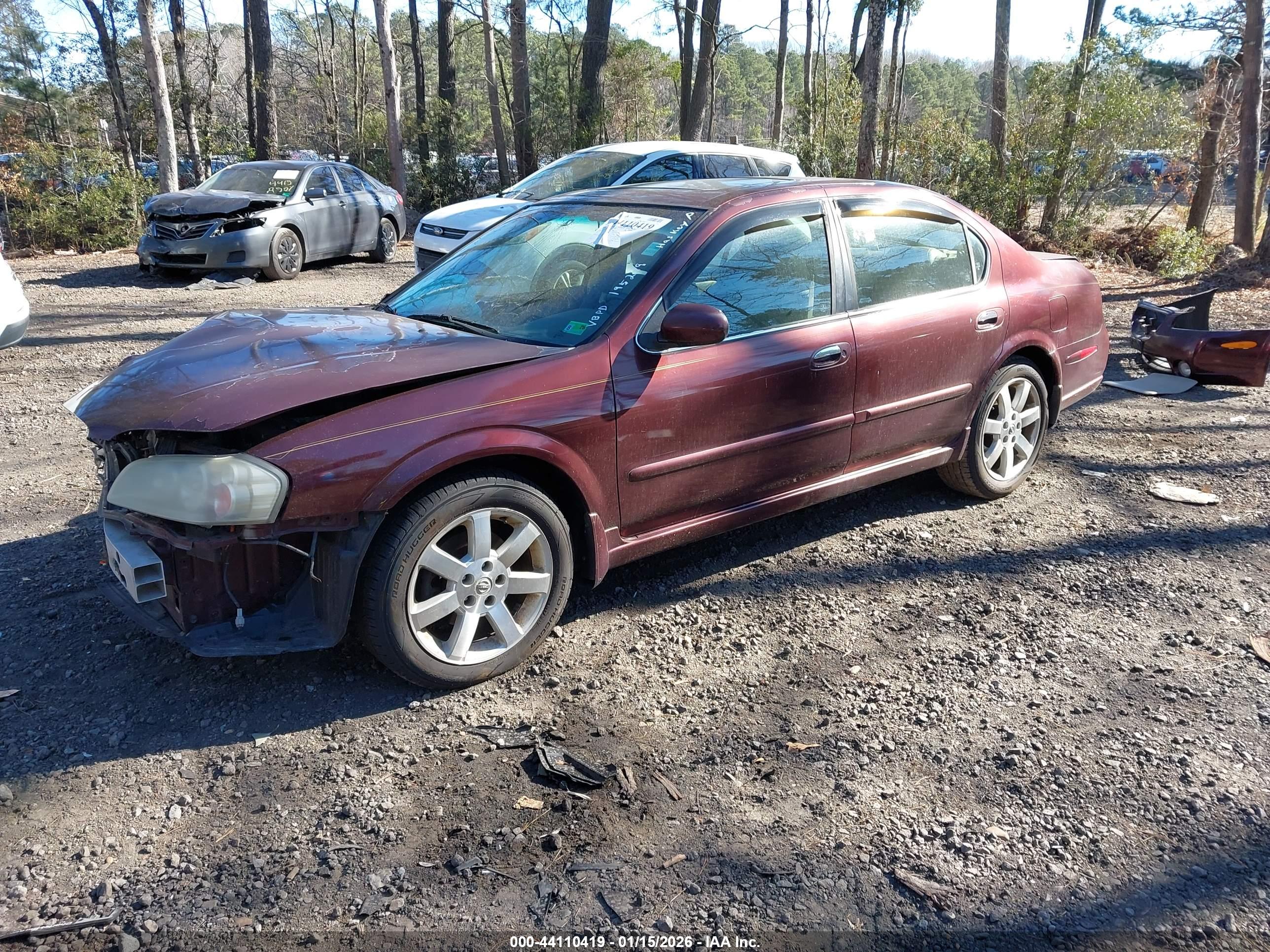 NISSAN MAXIMA image 2