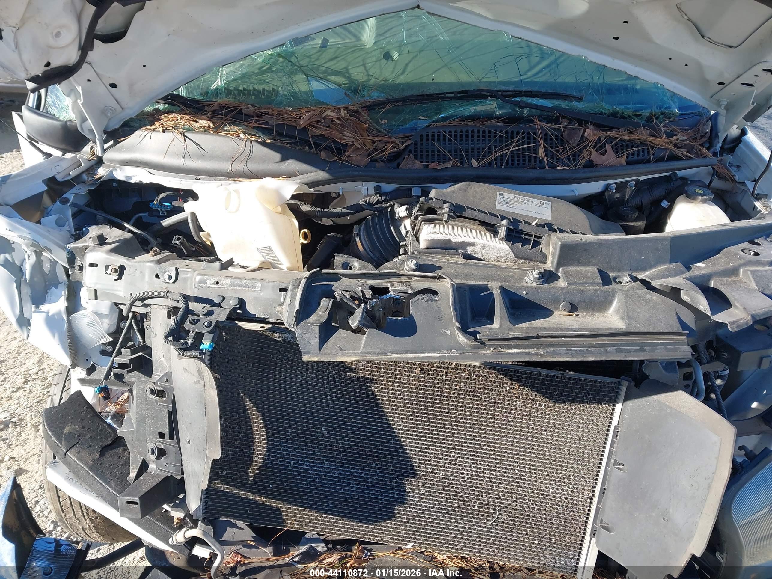 CHEVROLET EXPRESS image 10