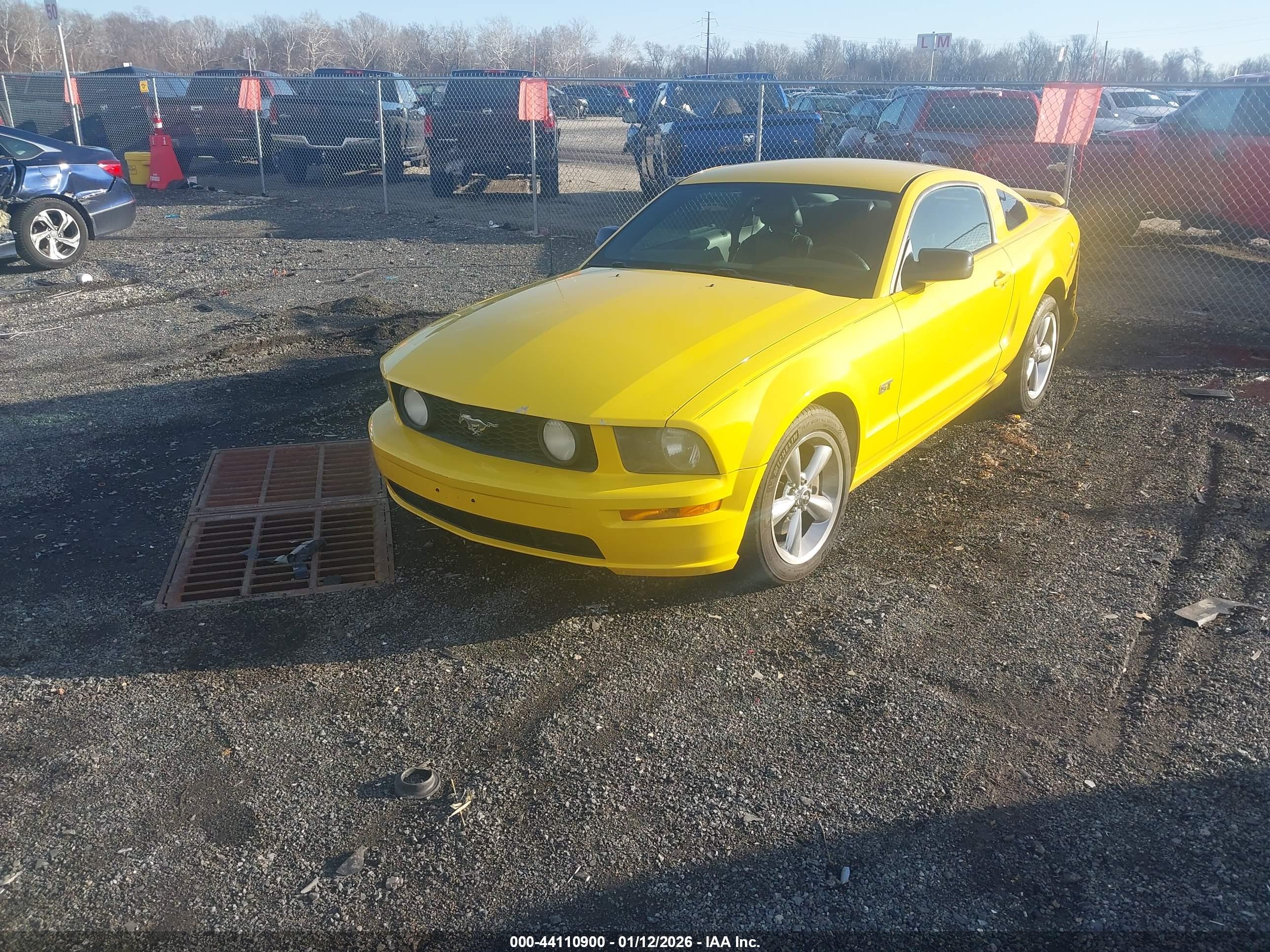 FORD MUSTANG image 2