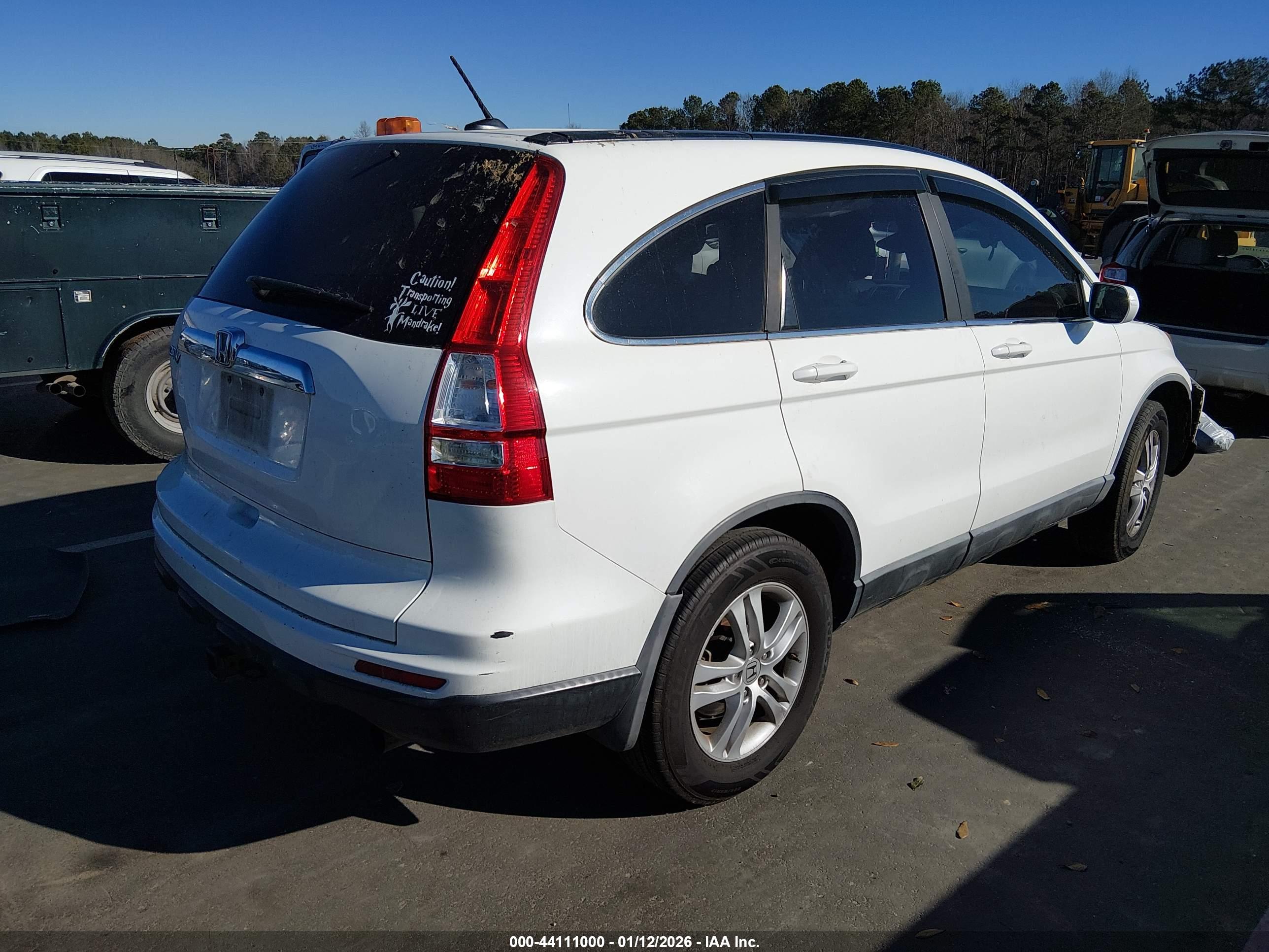 HONDA CR-V image 4