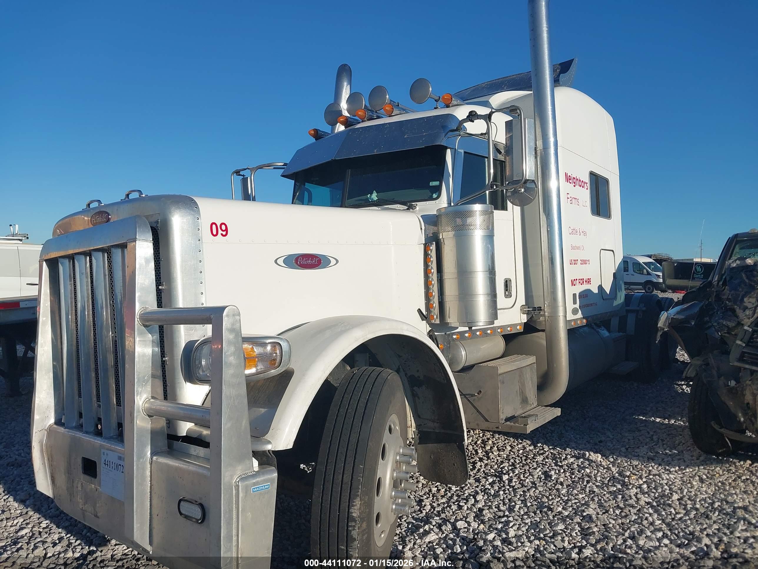 PETERBILT 389 image 2