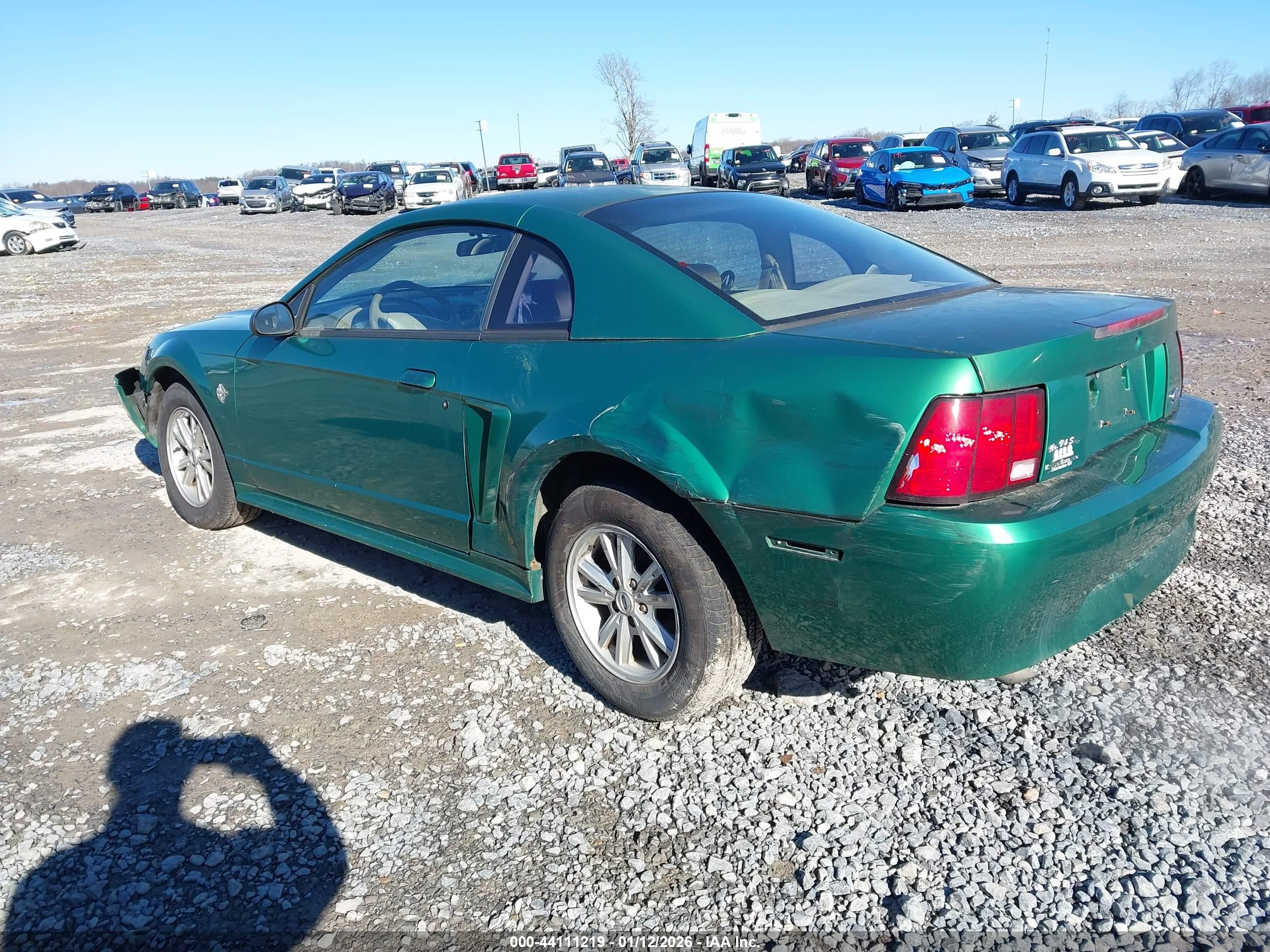 FORD MUSTANG image 3