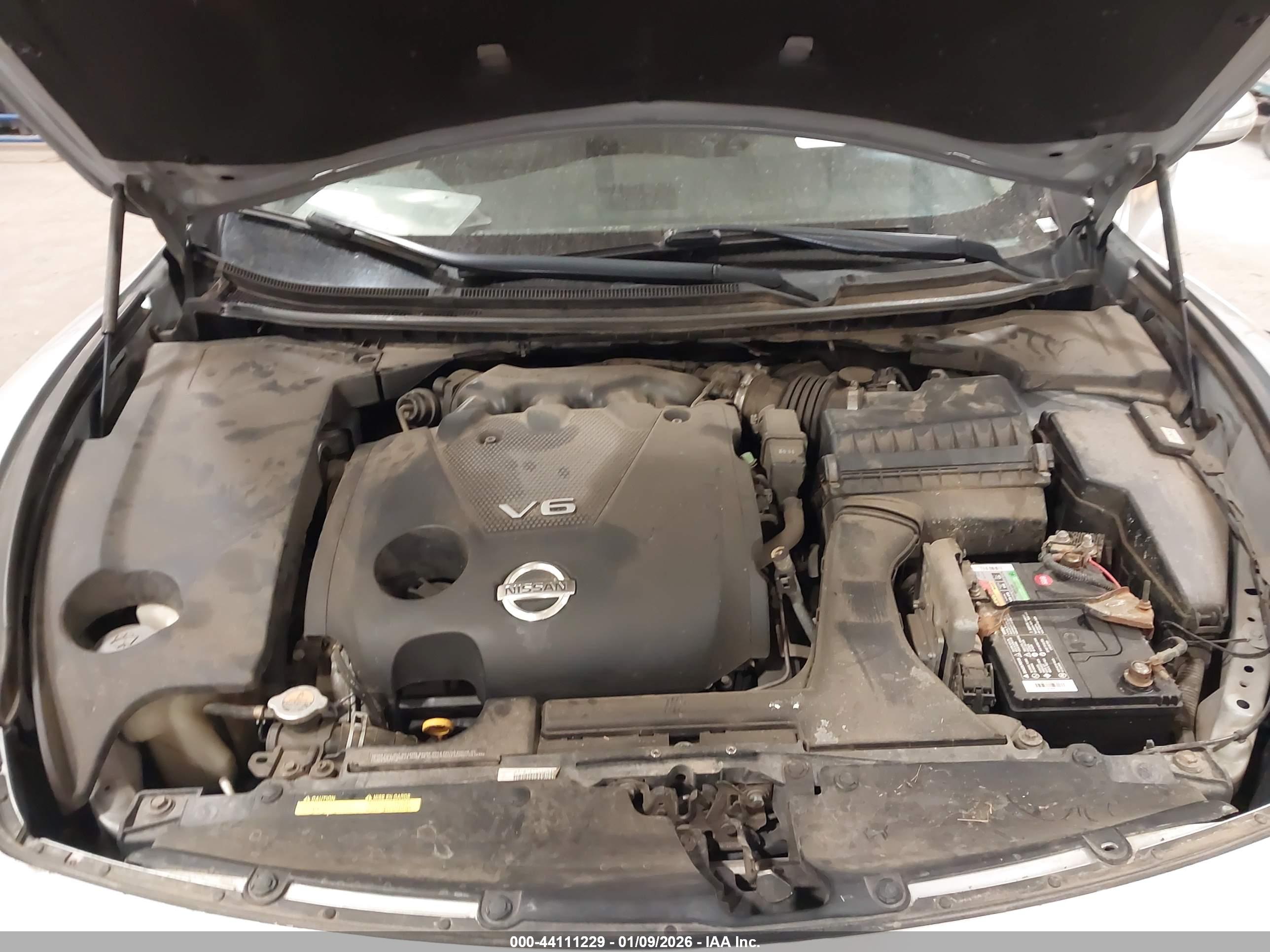 NISSAN MAXIMA image 10