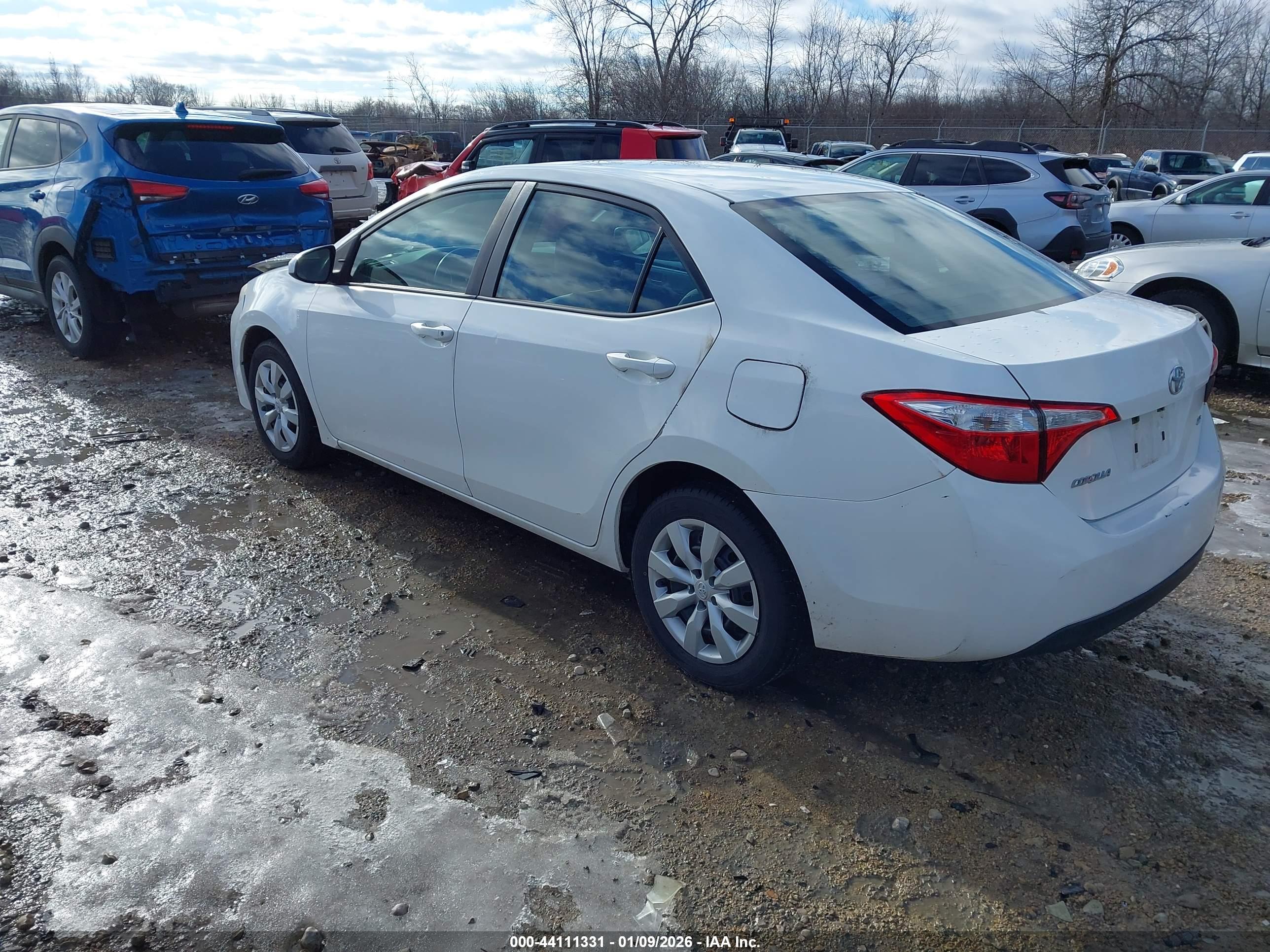 TOYOTA COROLLA image 3