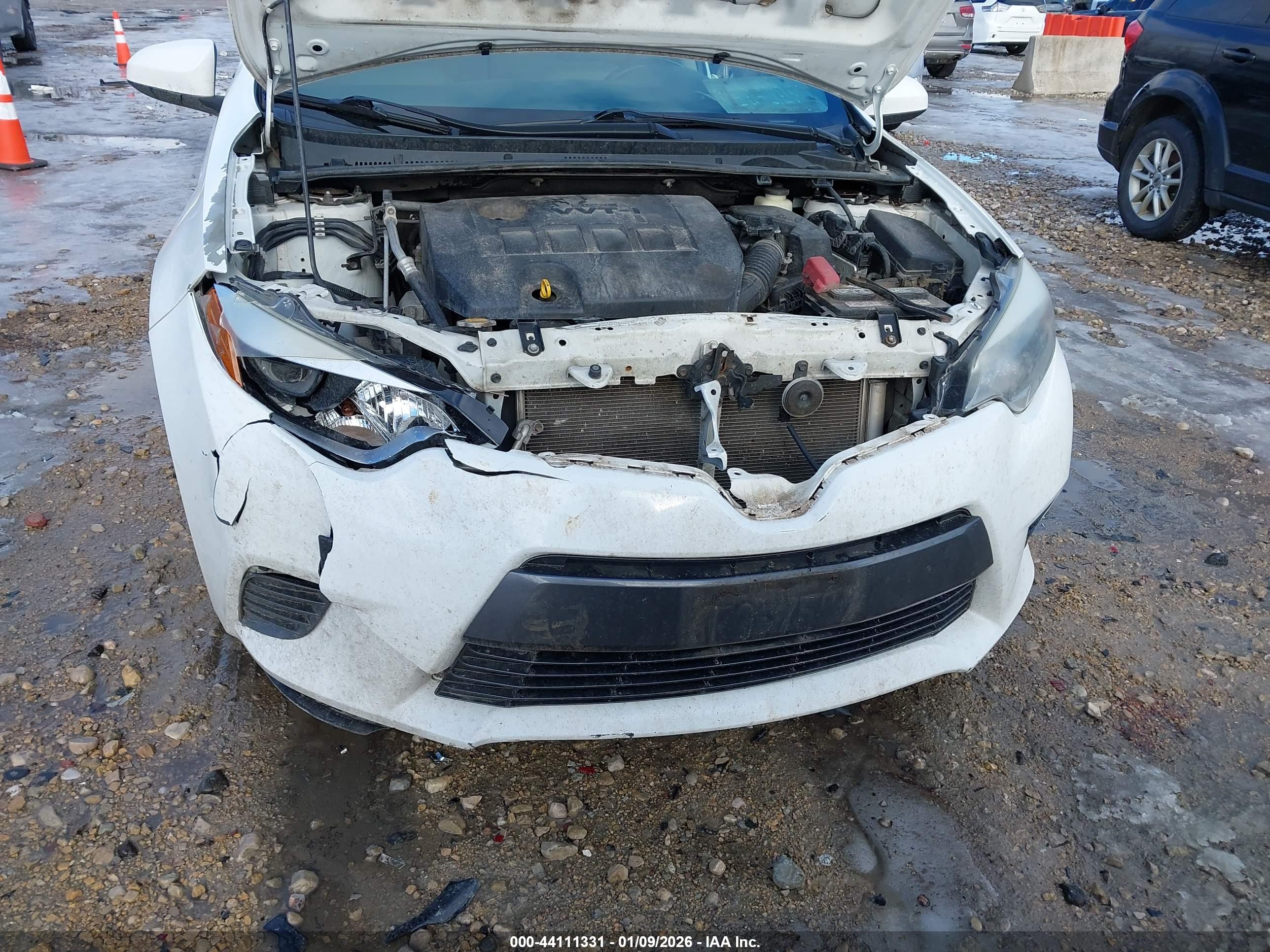 TOYOTA COROLLA image 6