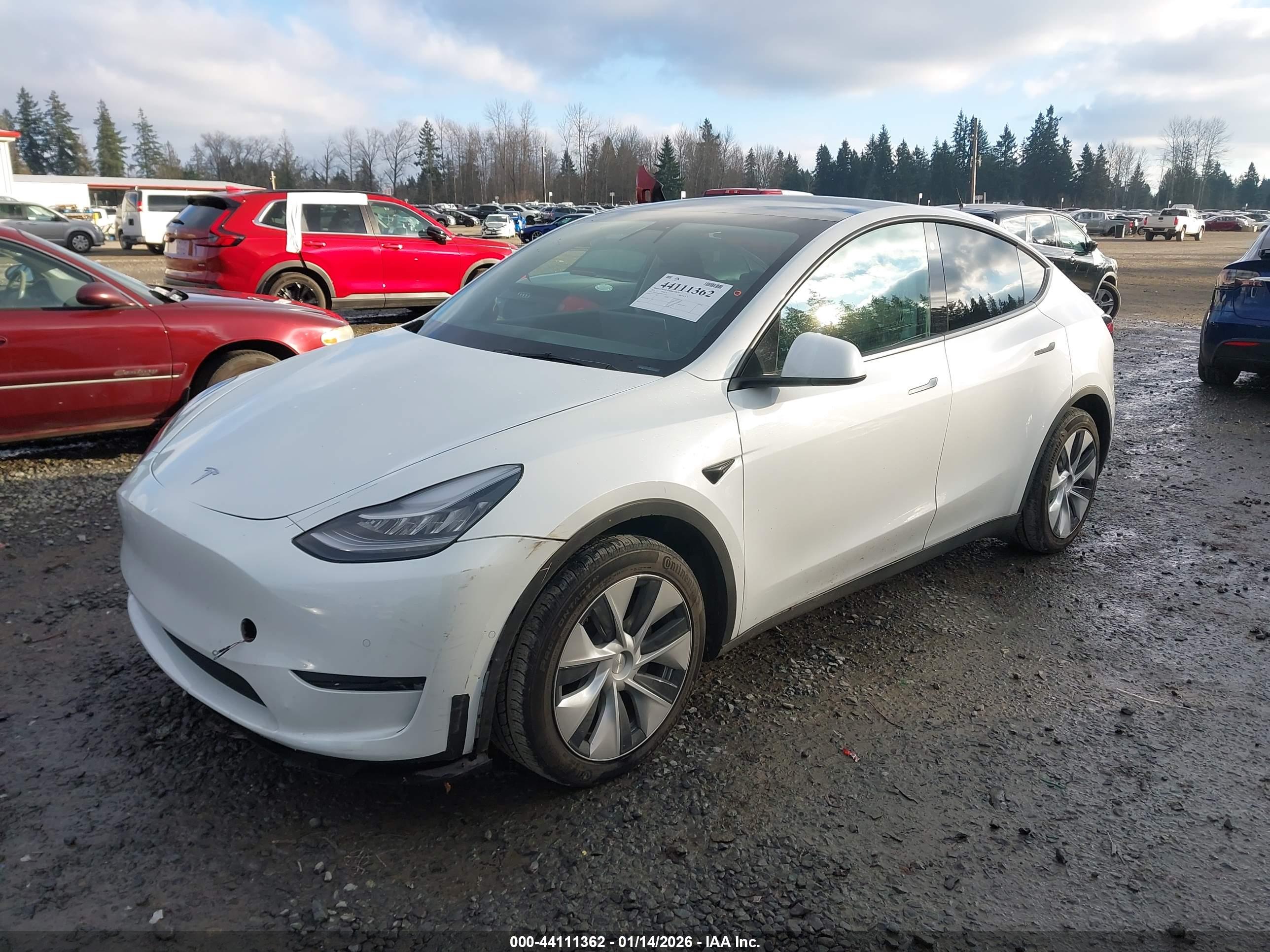 TESLA MODEL image 2