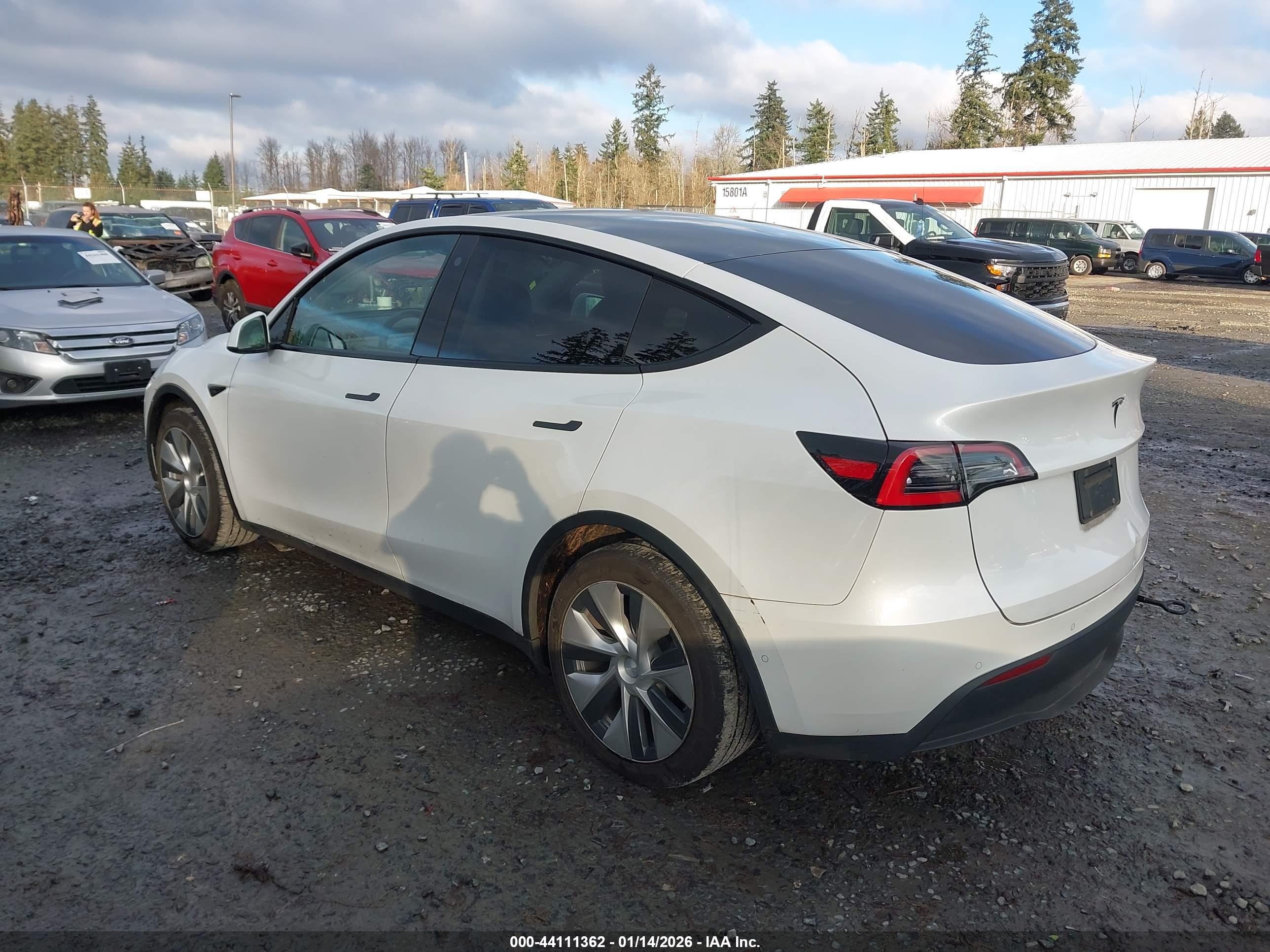 TESLA MODEL image 3
