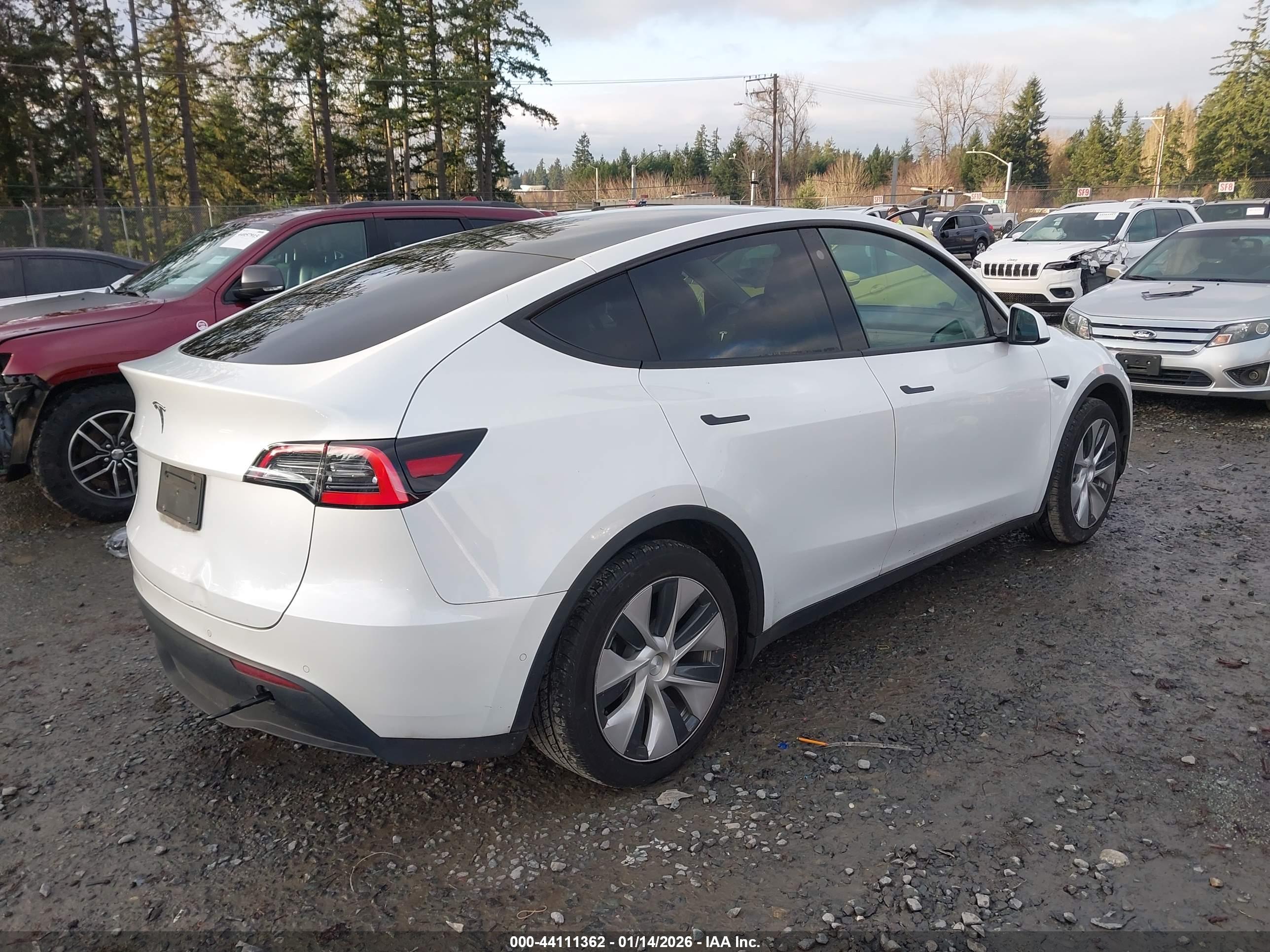 TESLA MODEL image 4