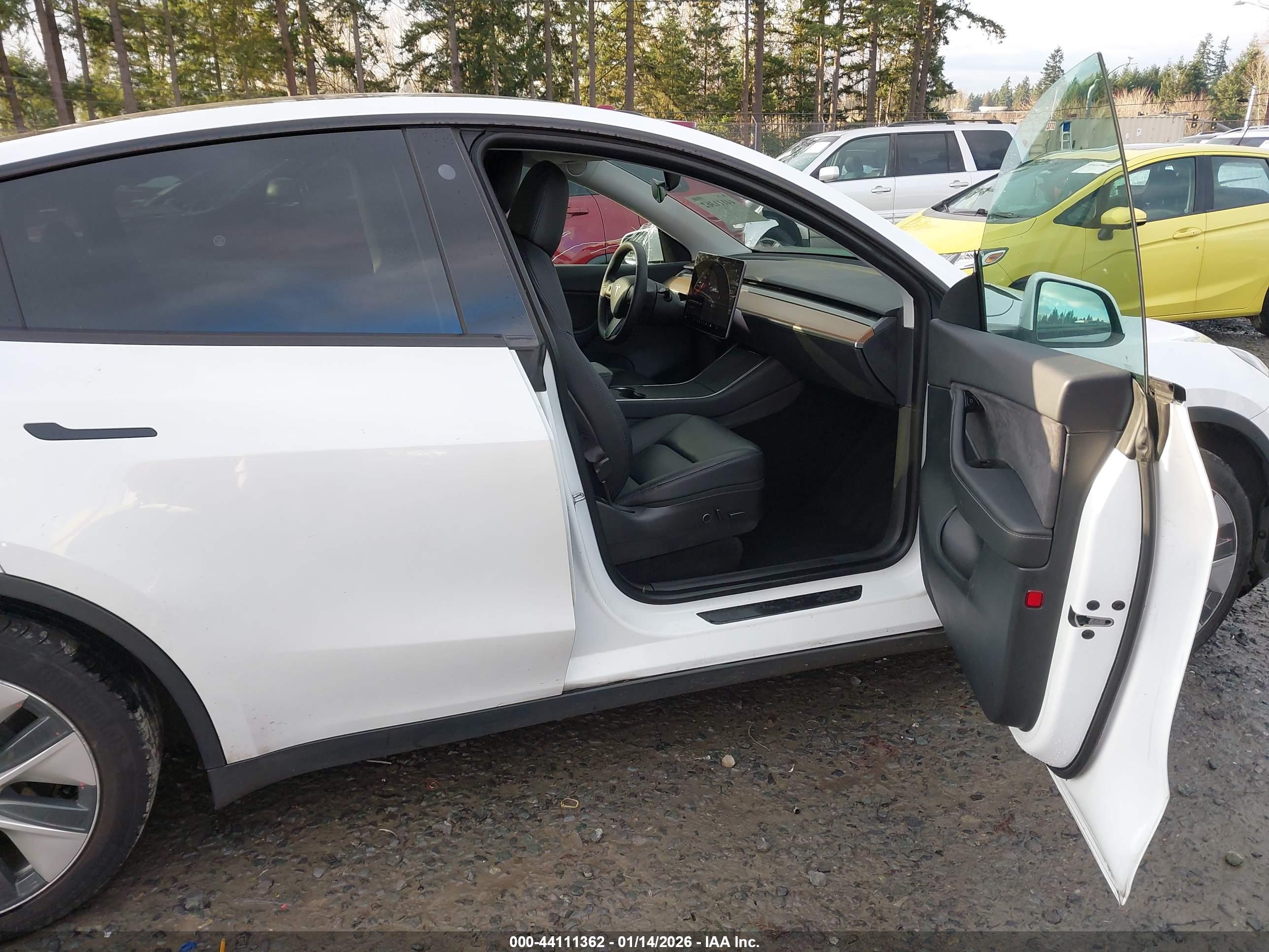 TESLA MODEL image 5