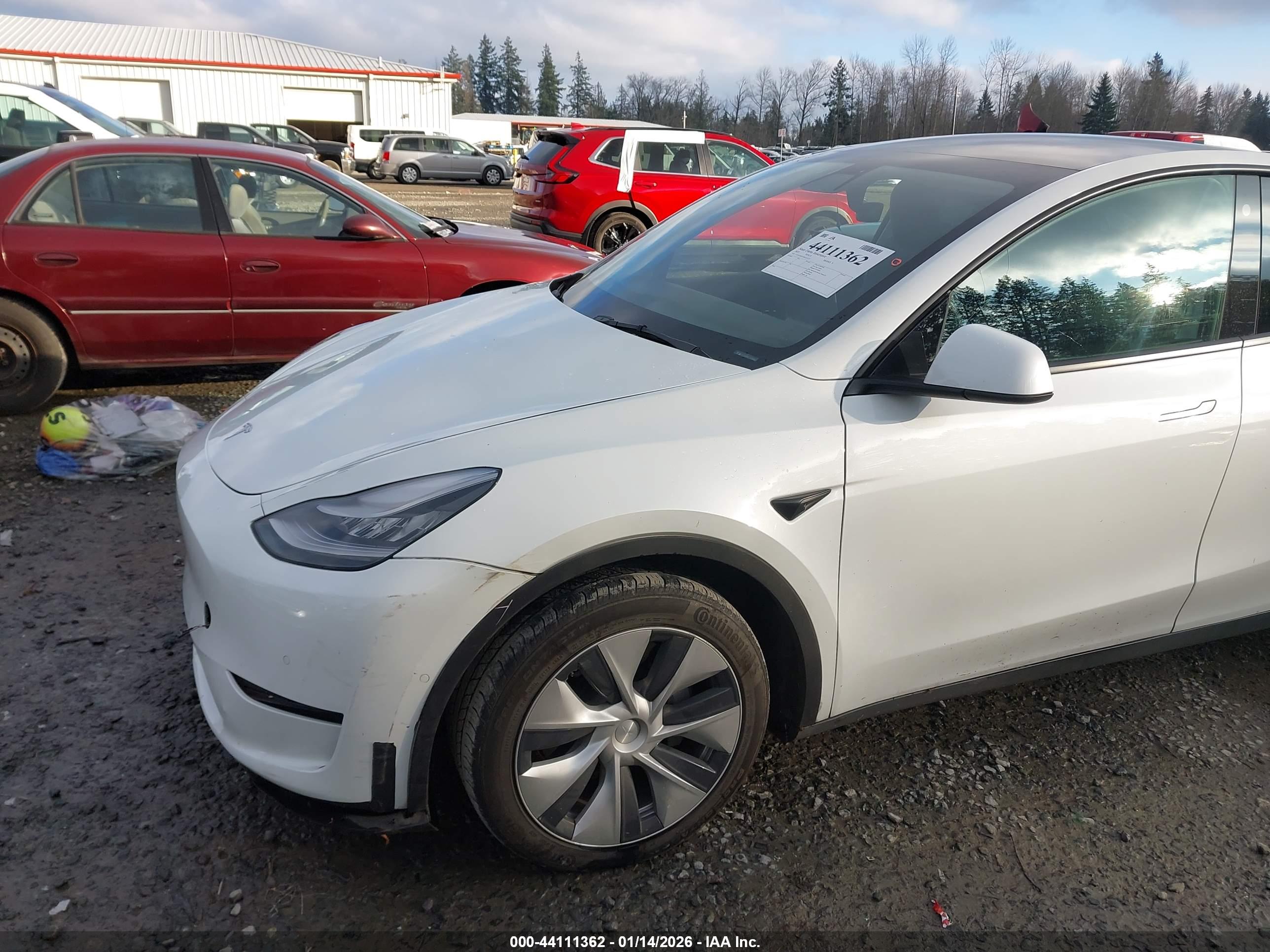 TESLA MODEL image 6