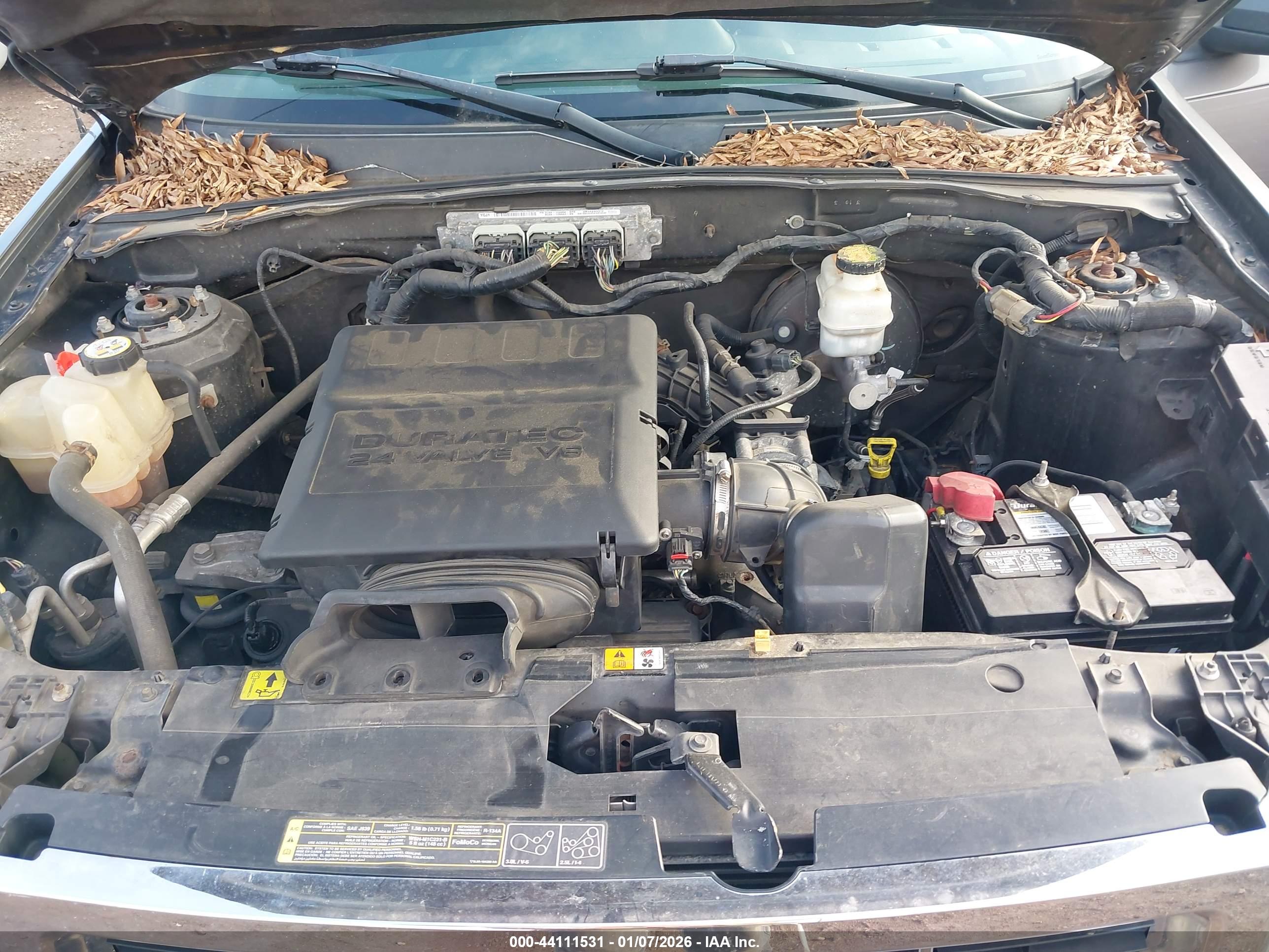 FORD ESCAPE image 10