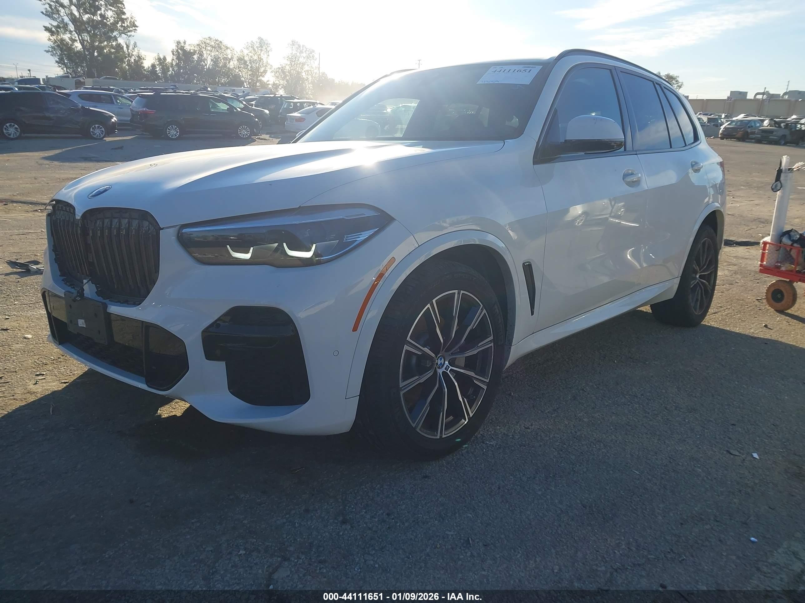 BMW X5 image 2