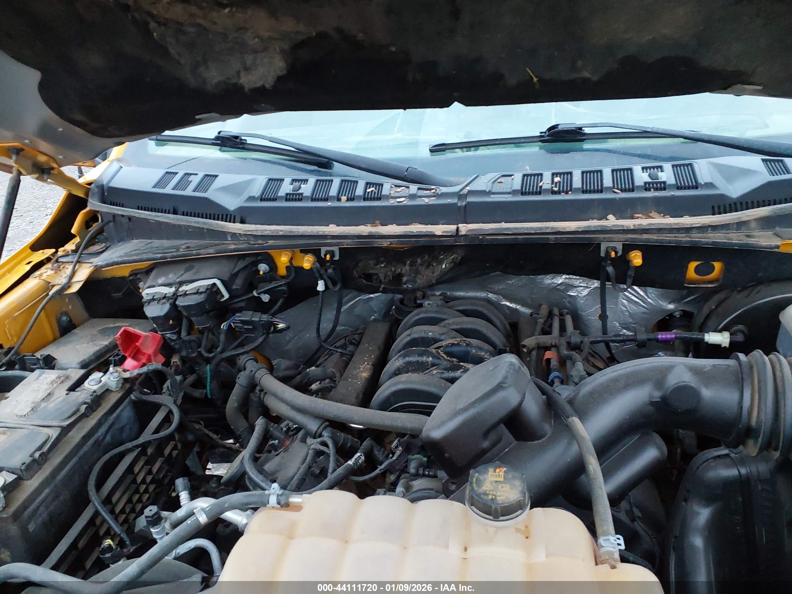 FORD F-150 image 10