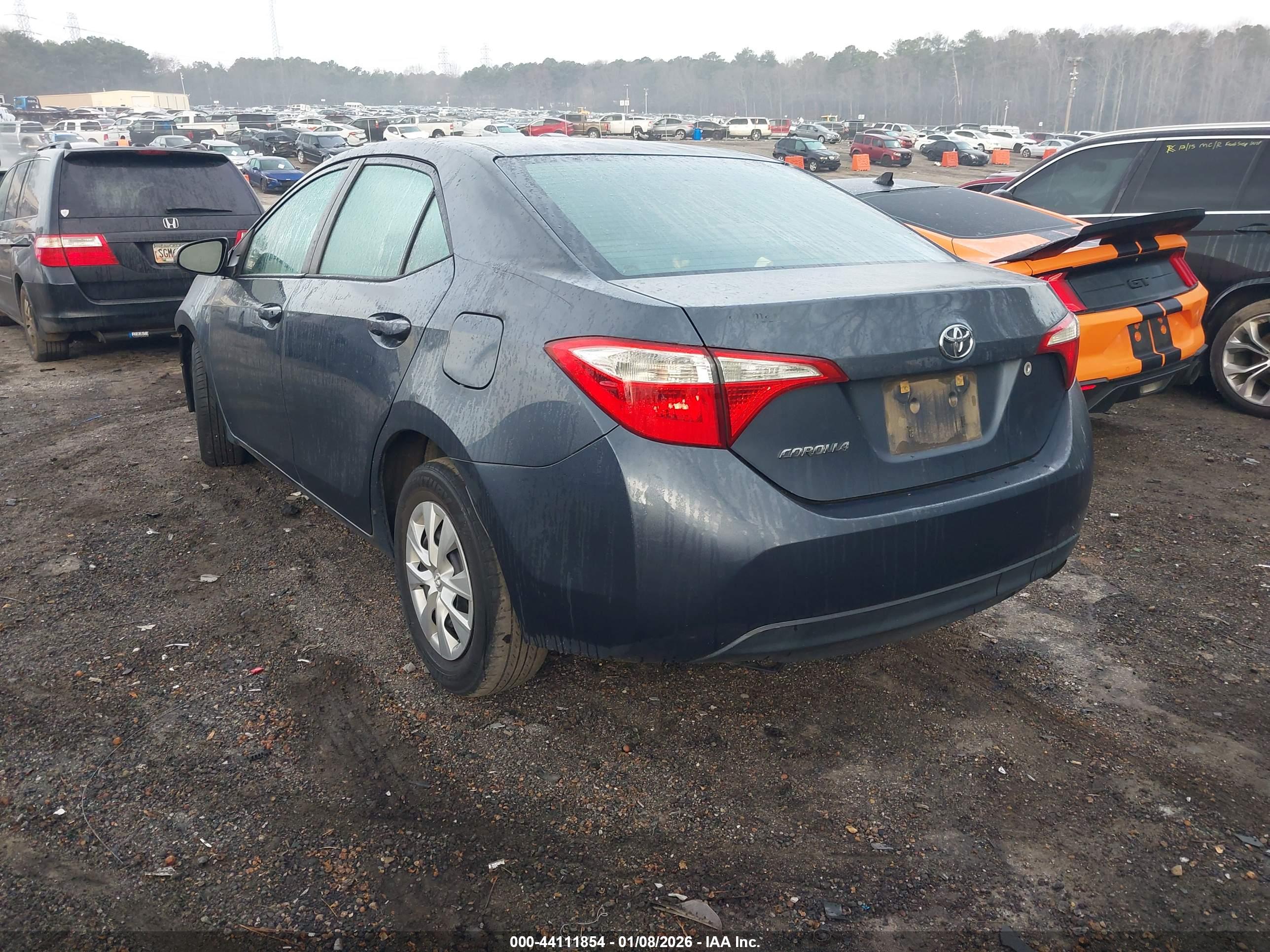 TOYOTA COROLLA image 3