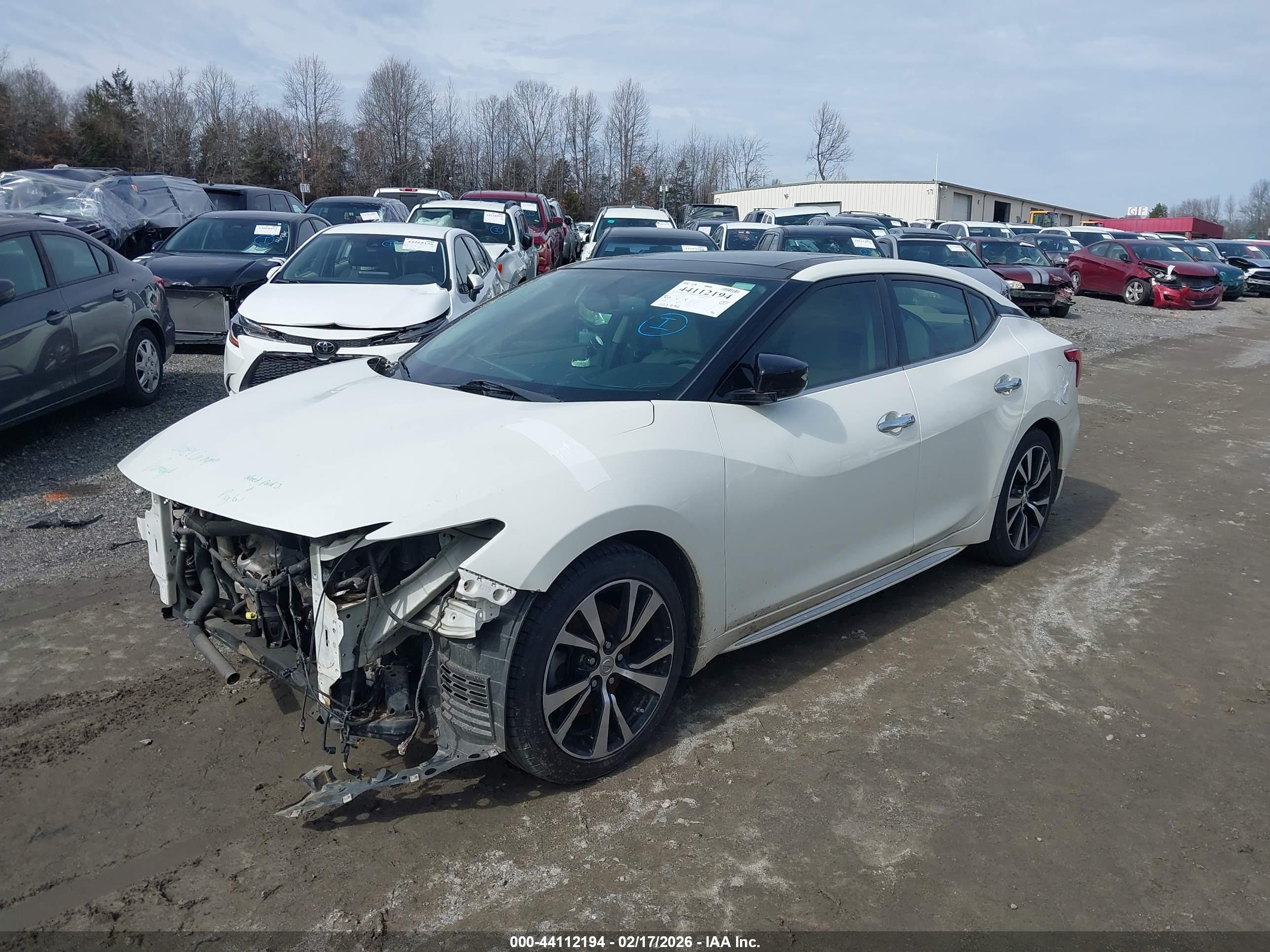 NISSAN MAXIMA image 2
