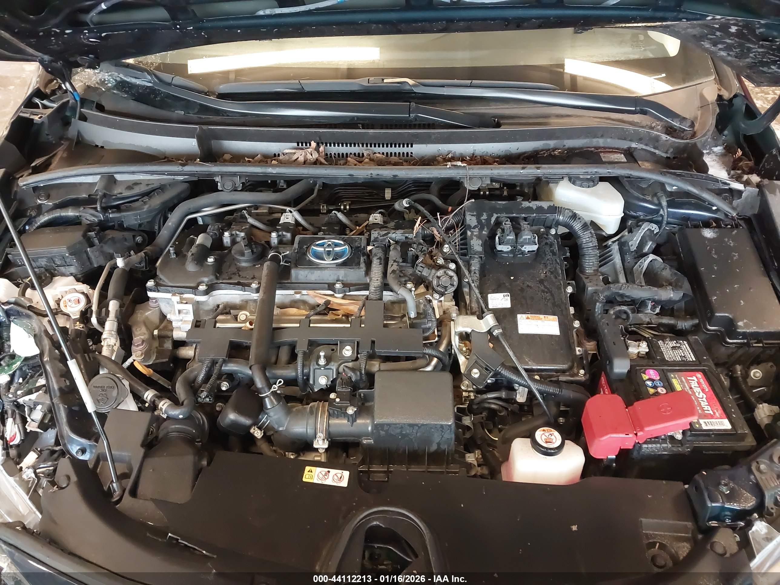 TOYOTA COROLLA image 10
