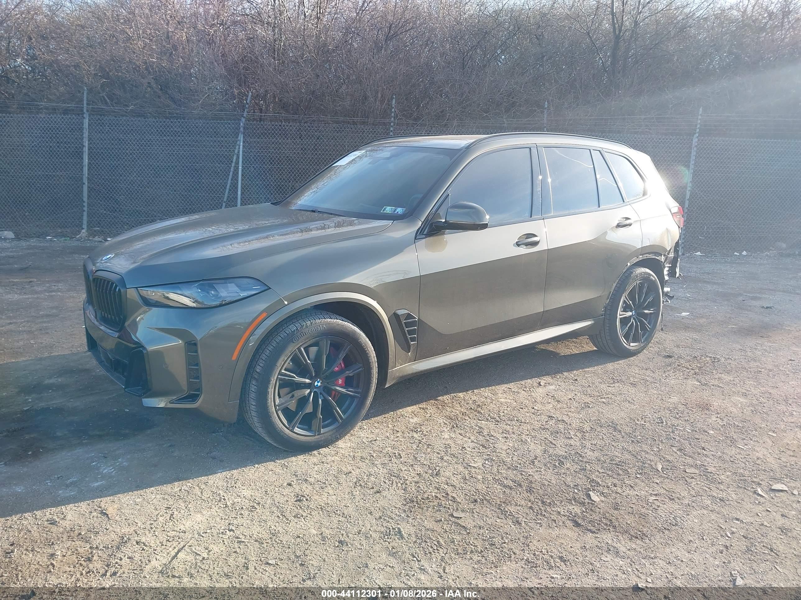 BMW X5 image 2
