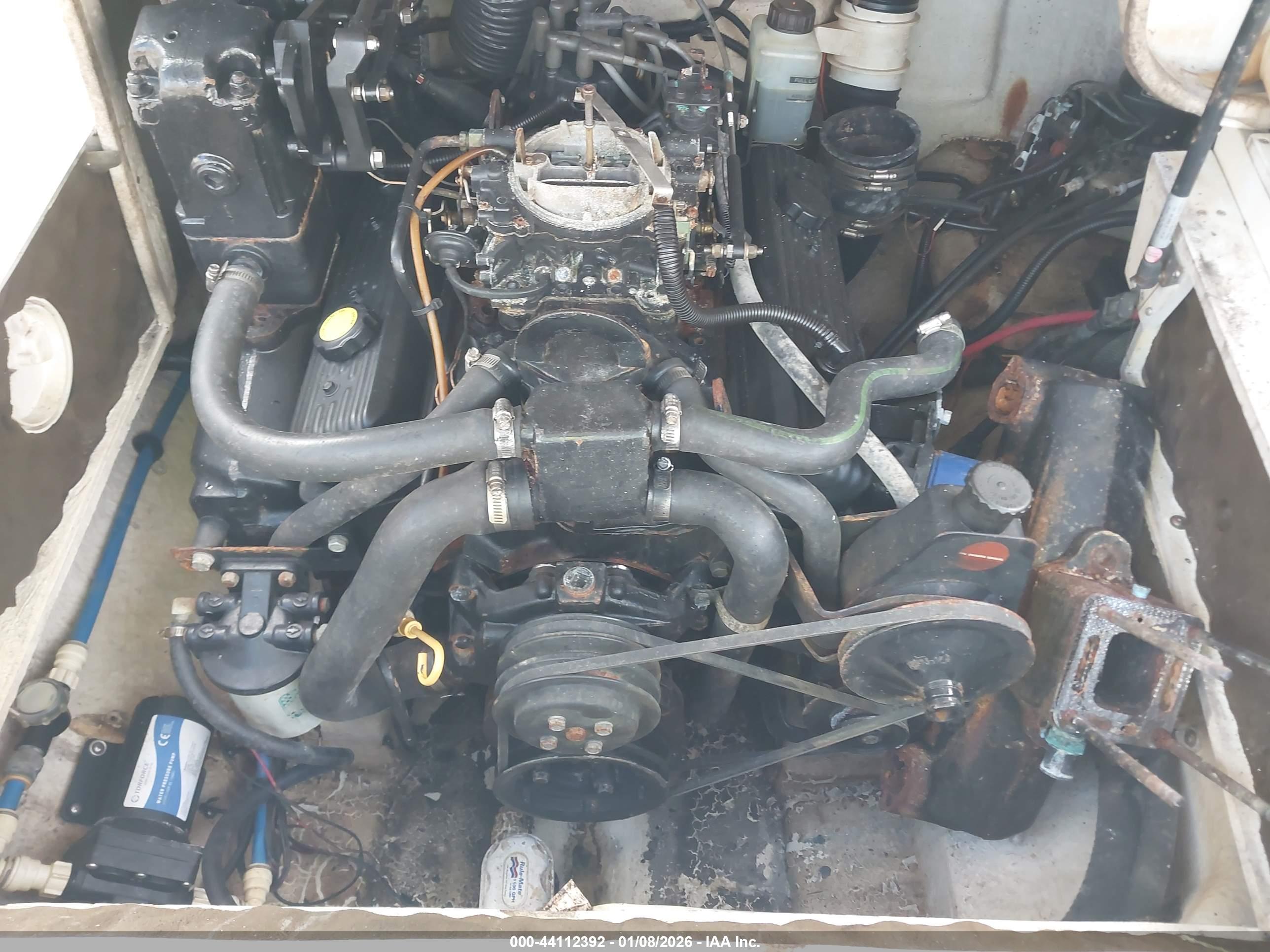 SEA RAY image 10