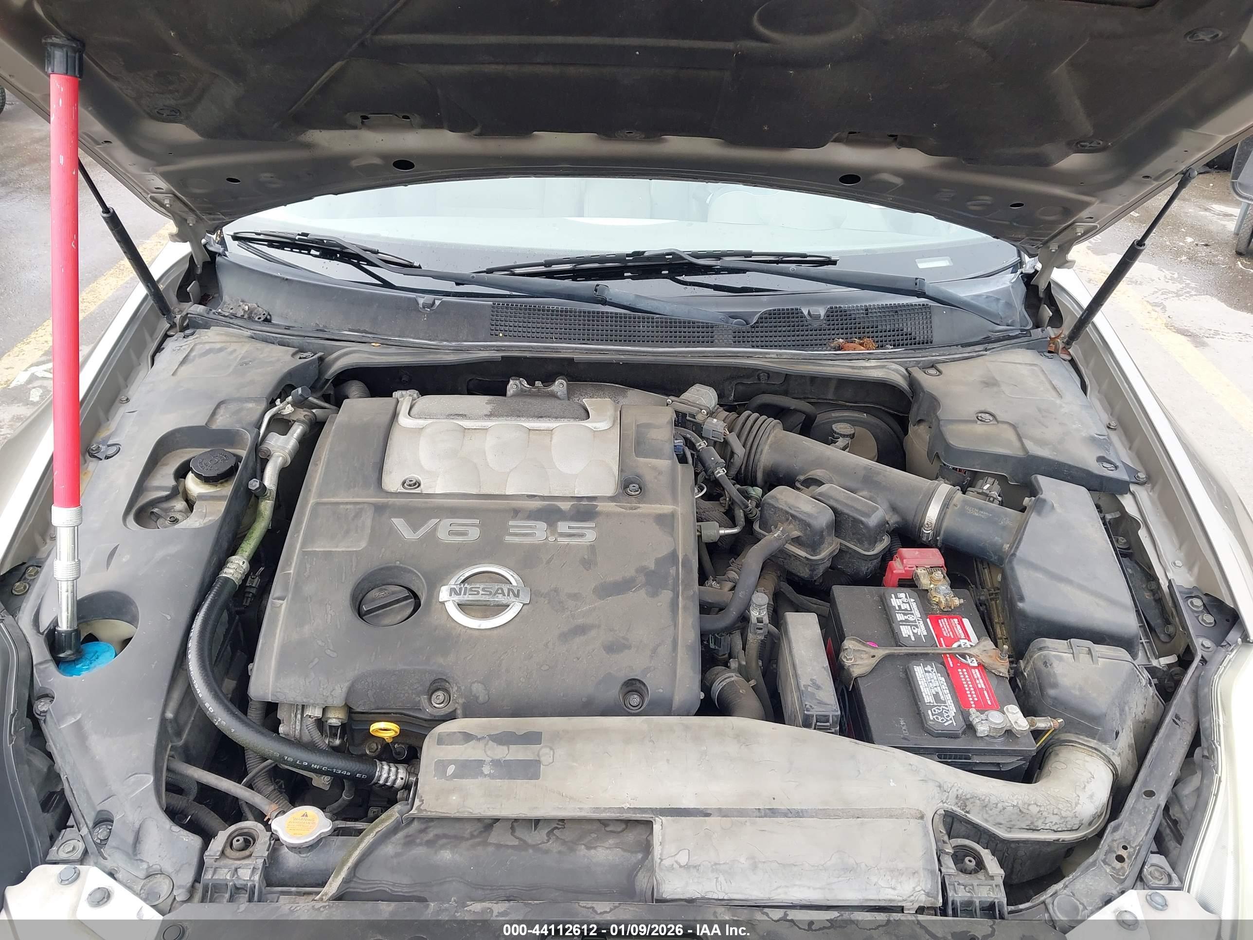 NISSAN MAXIMA image 10