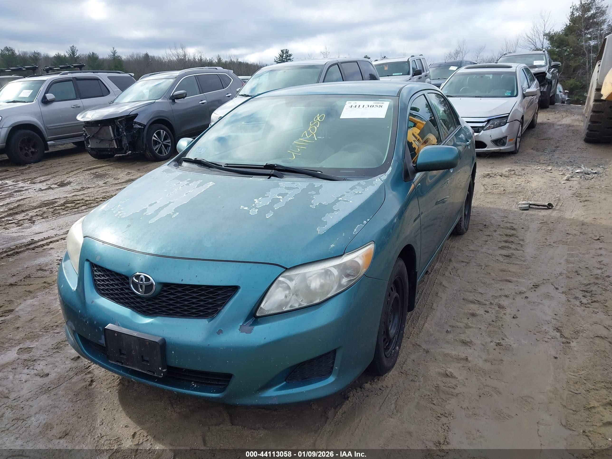 TOYOTA COROLLA image 2