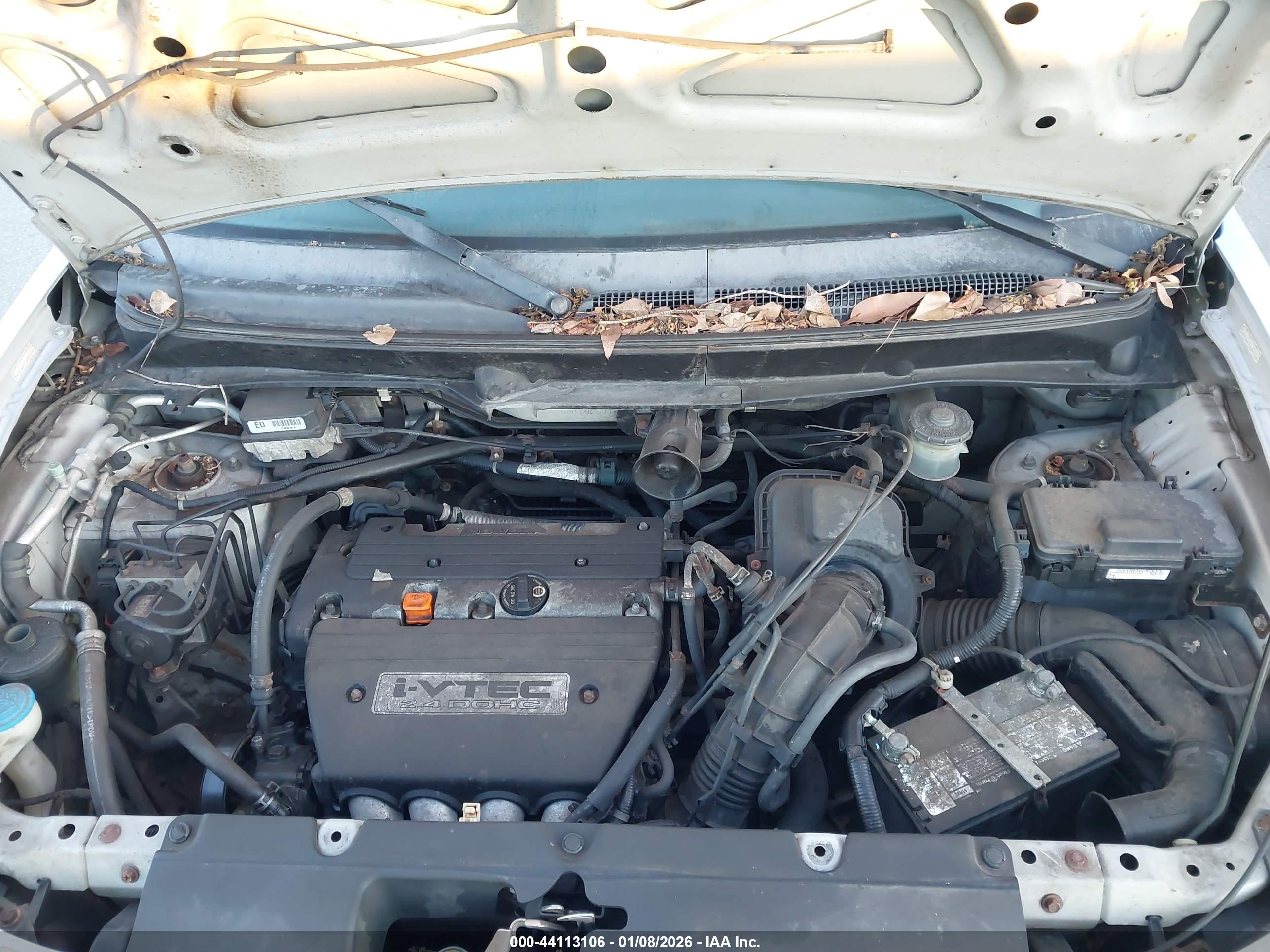 HONDA ELEMENT image 10