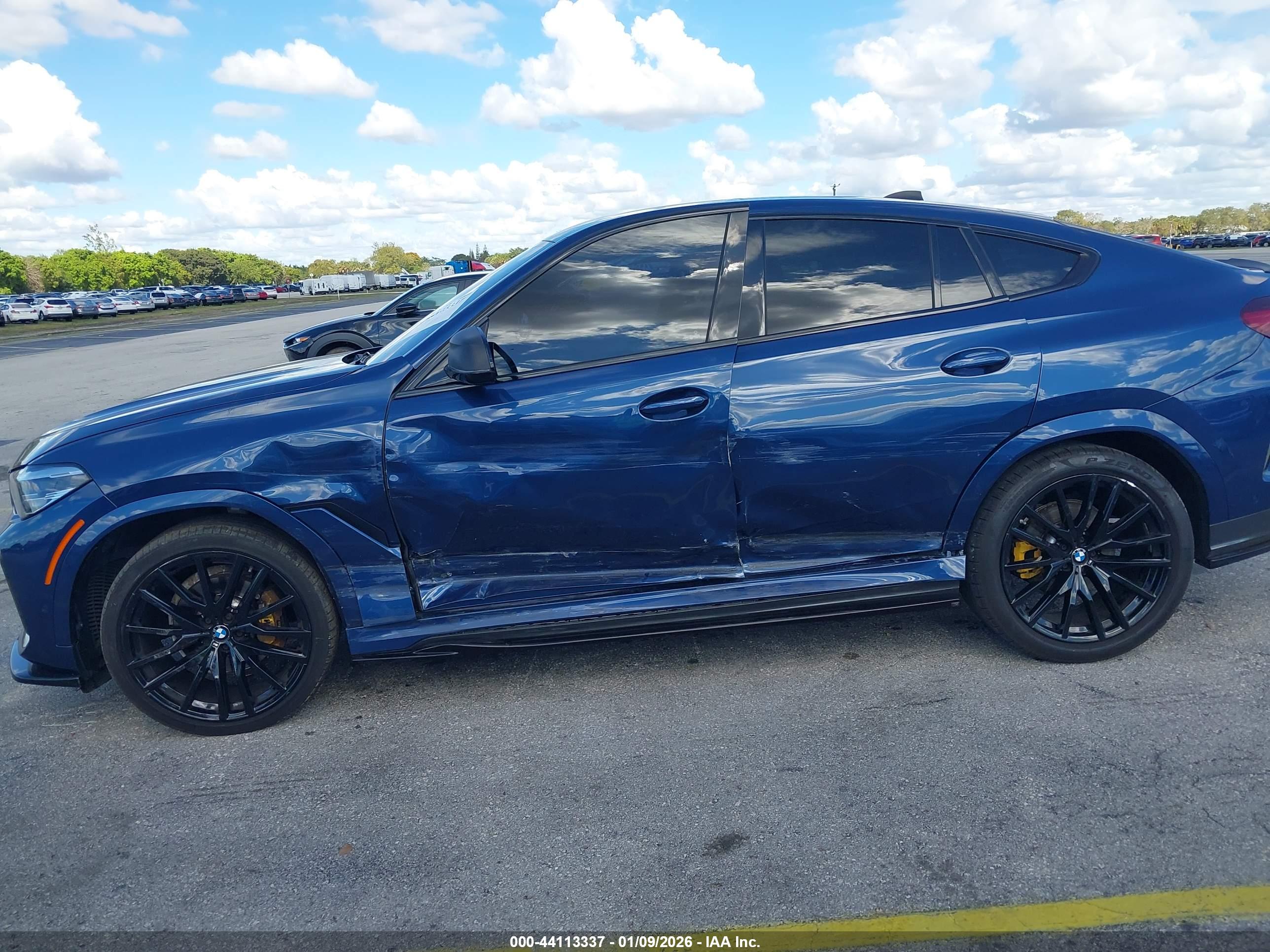 BMW X6 image 6