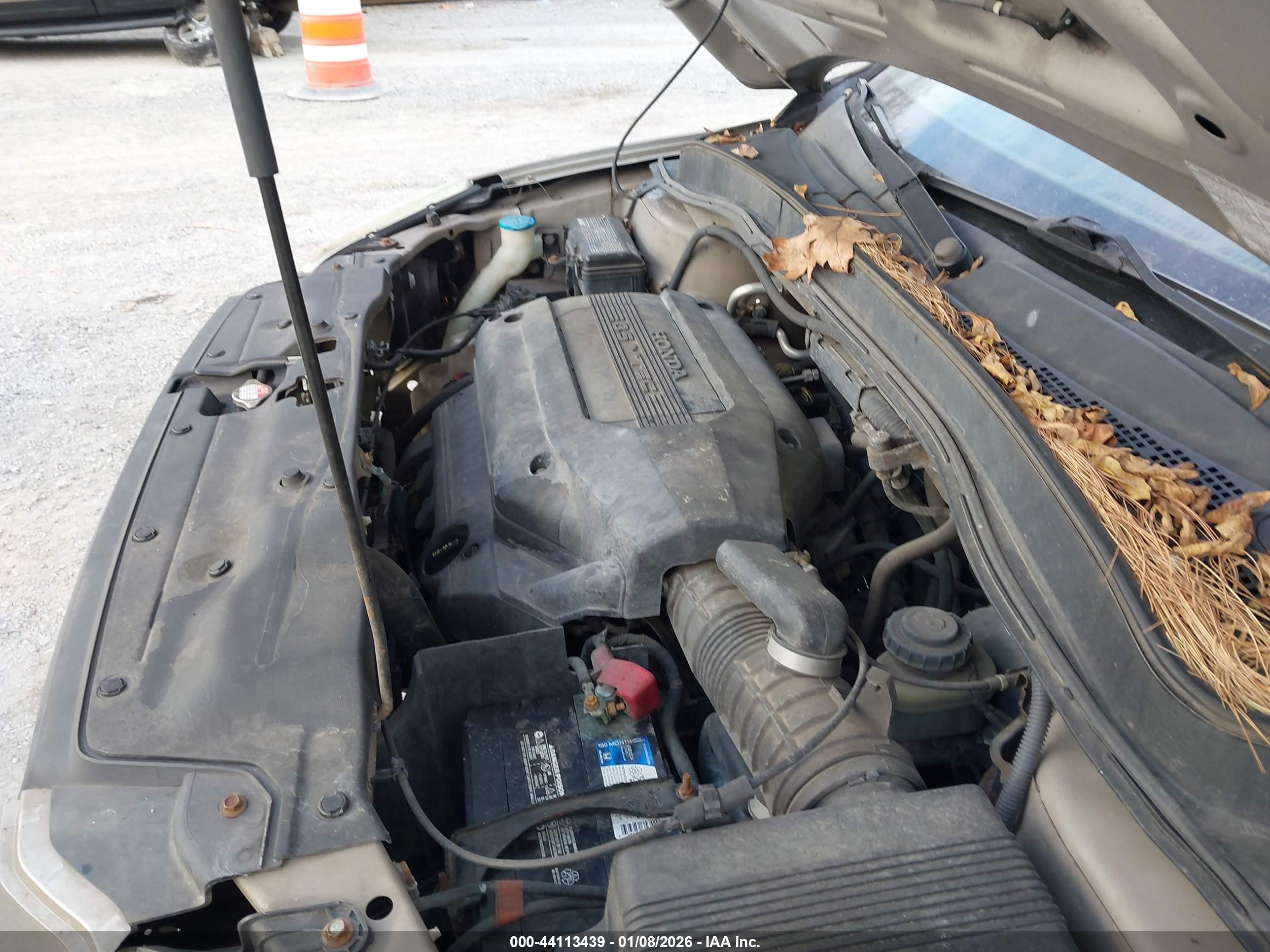 HONDA PILOT image 10