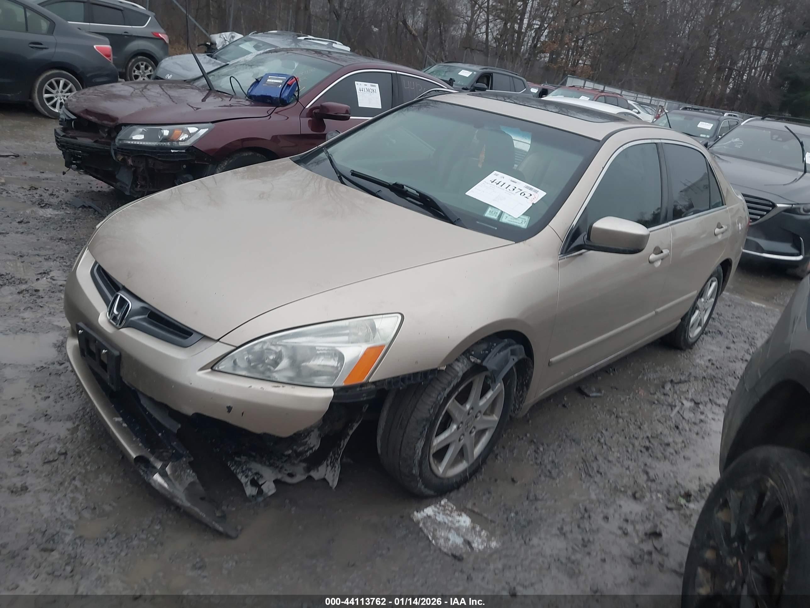 HONDA ACCORD image 2
