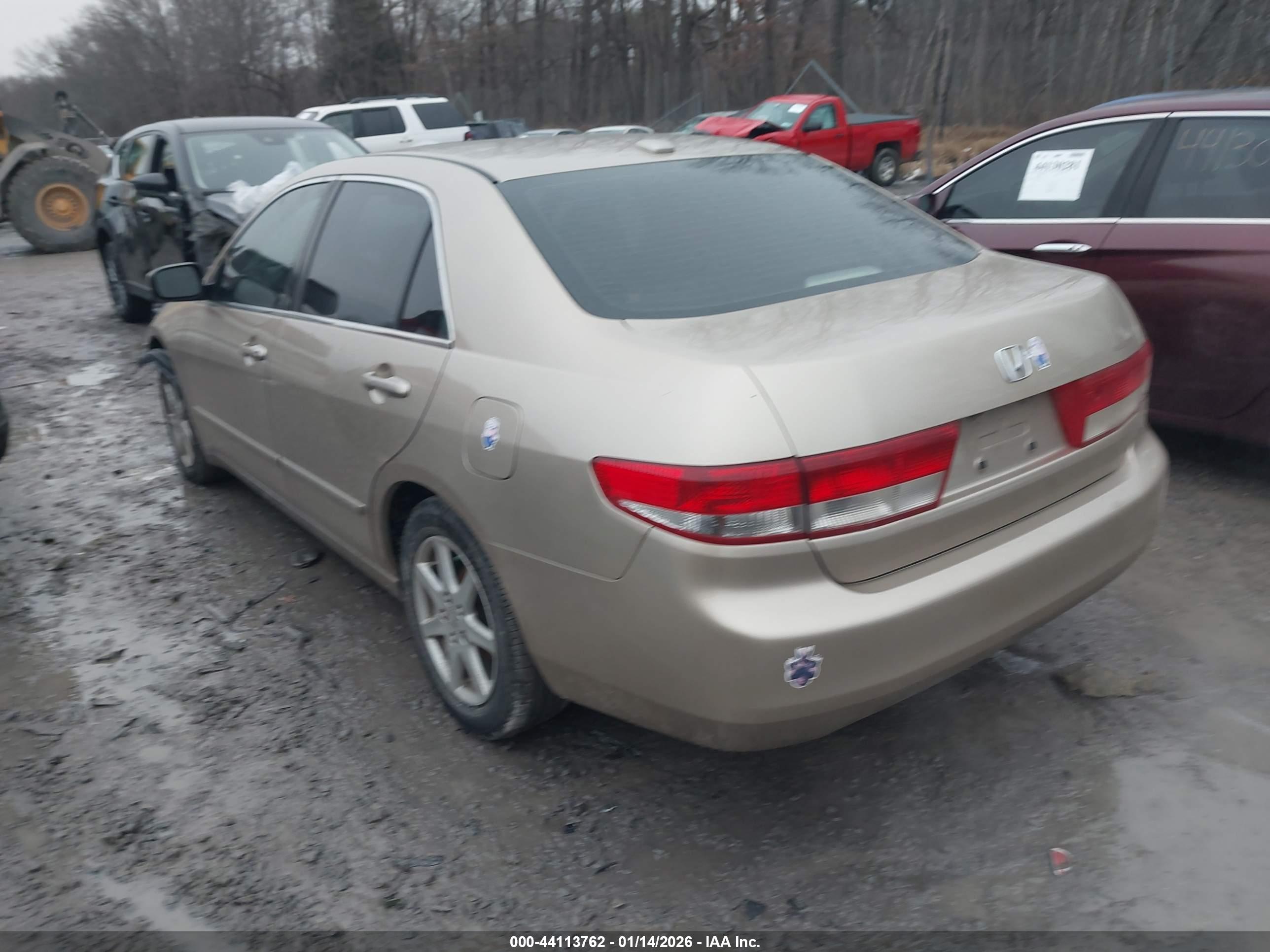 HONDA ACCORD image 3