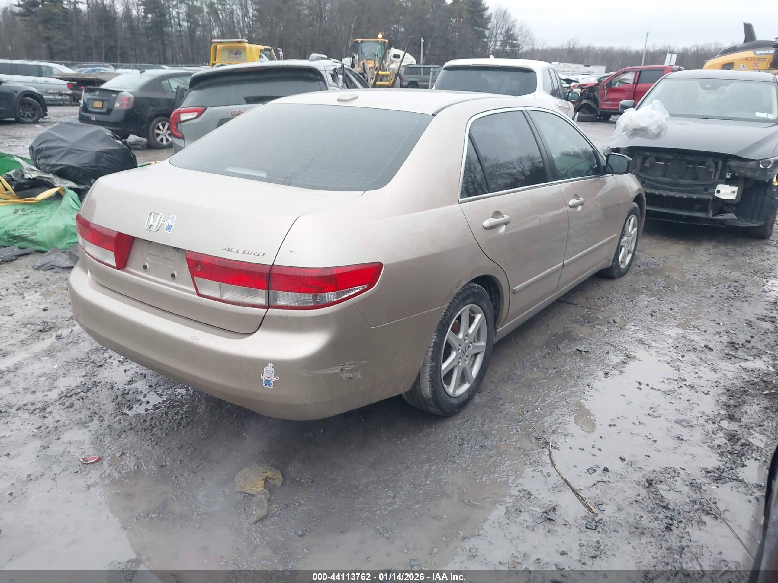 HONDA ACCORD image 4