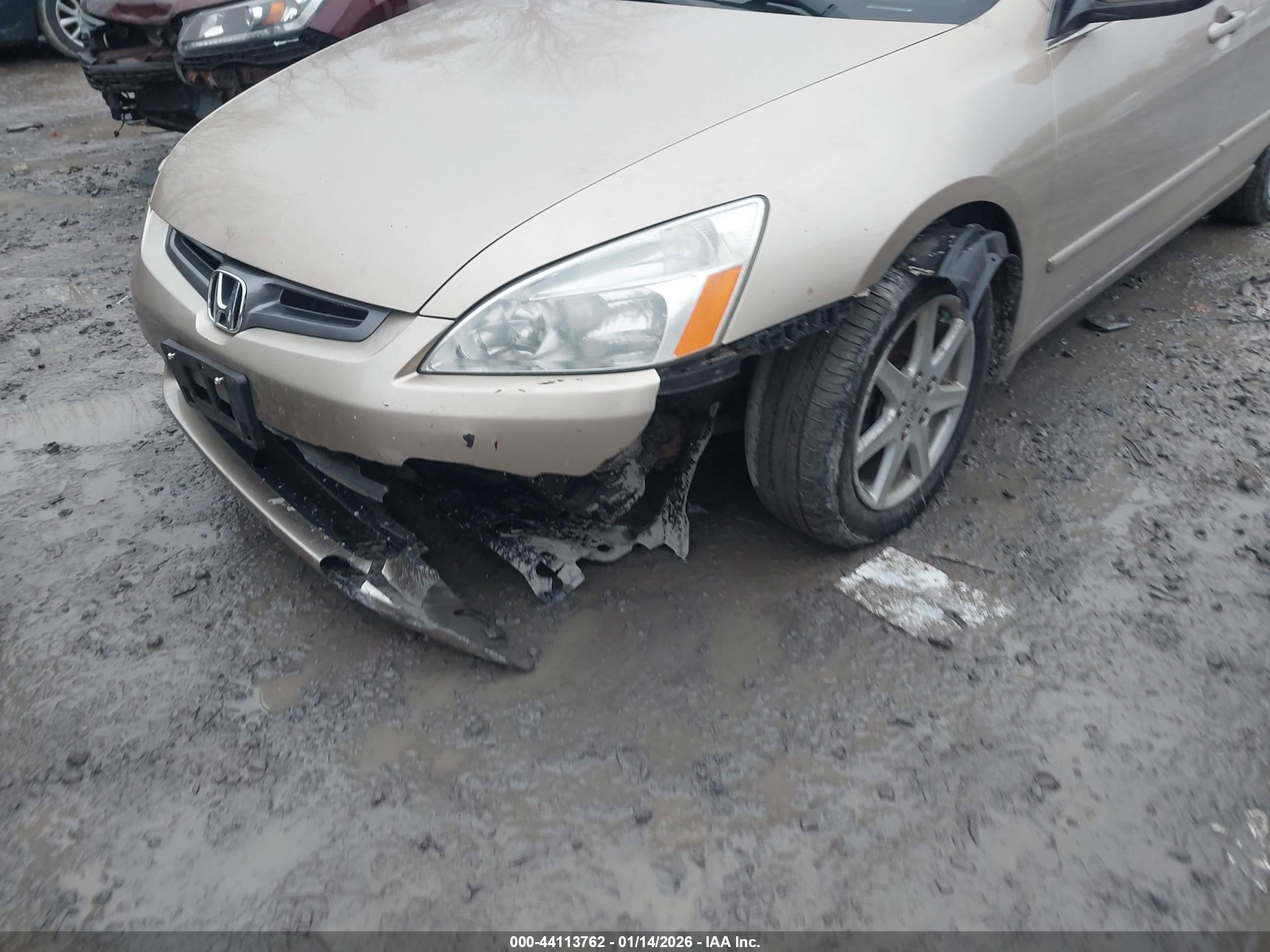 HONDA ACCORD image 6