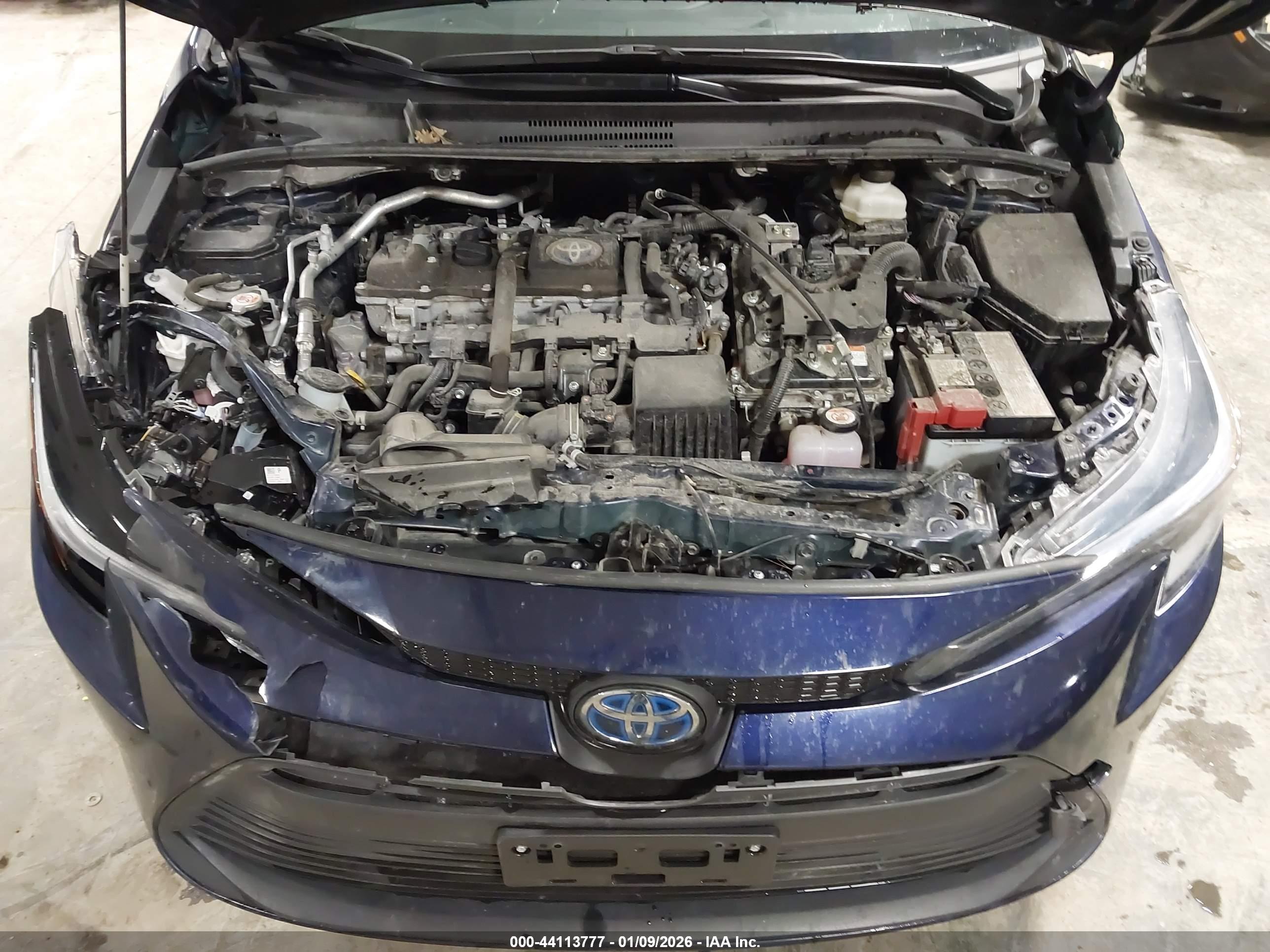 TOYOTA COROLLA image 10