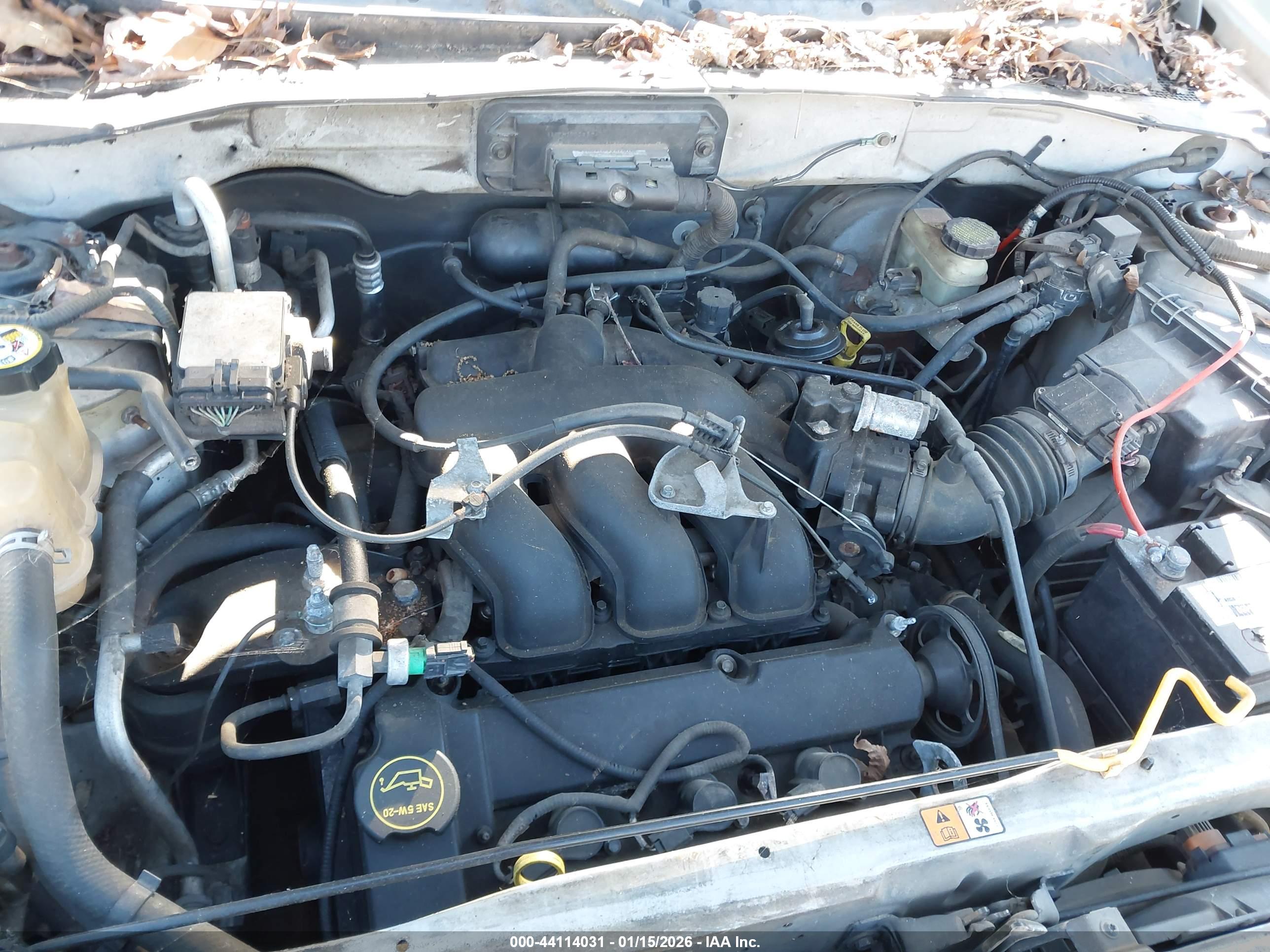 FORD ESCAPE image 10