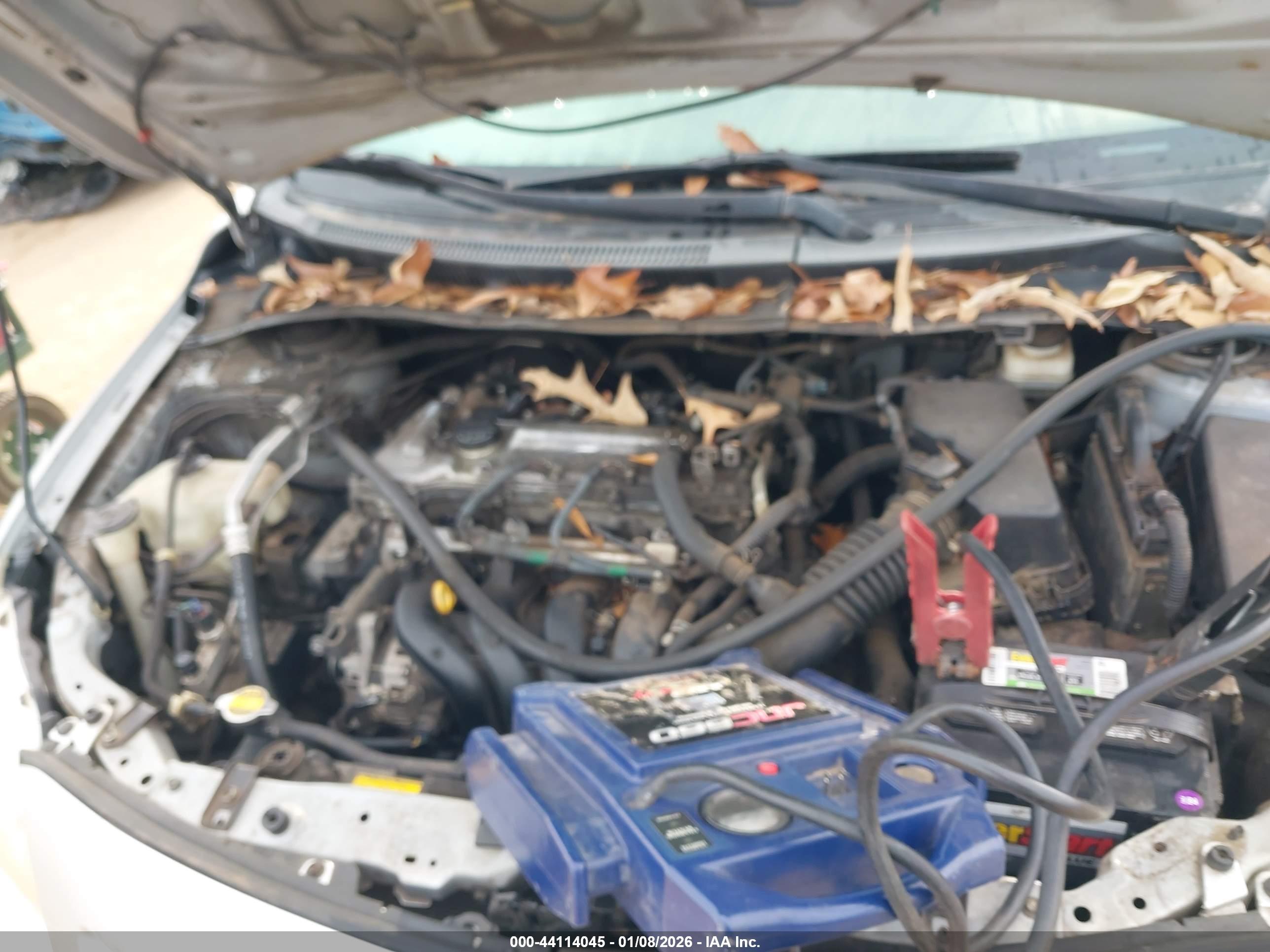 TOYOTA COROLLA image 6