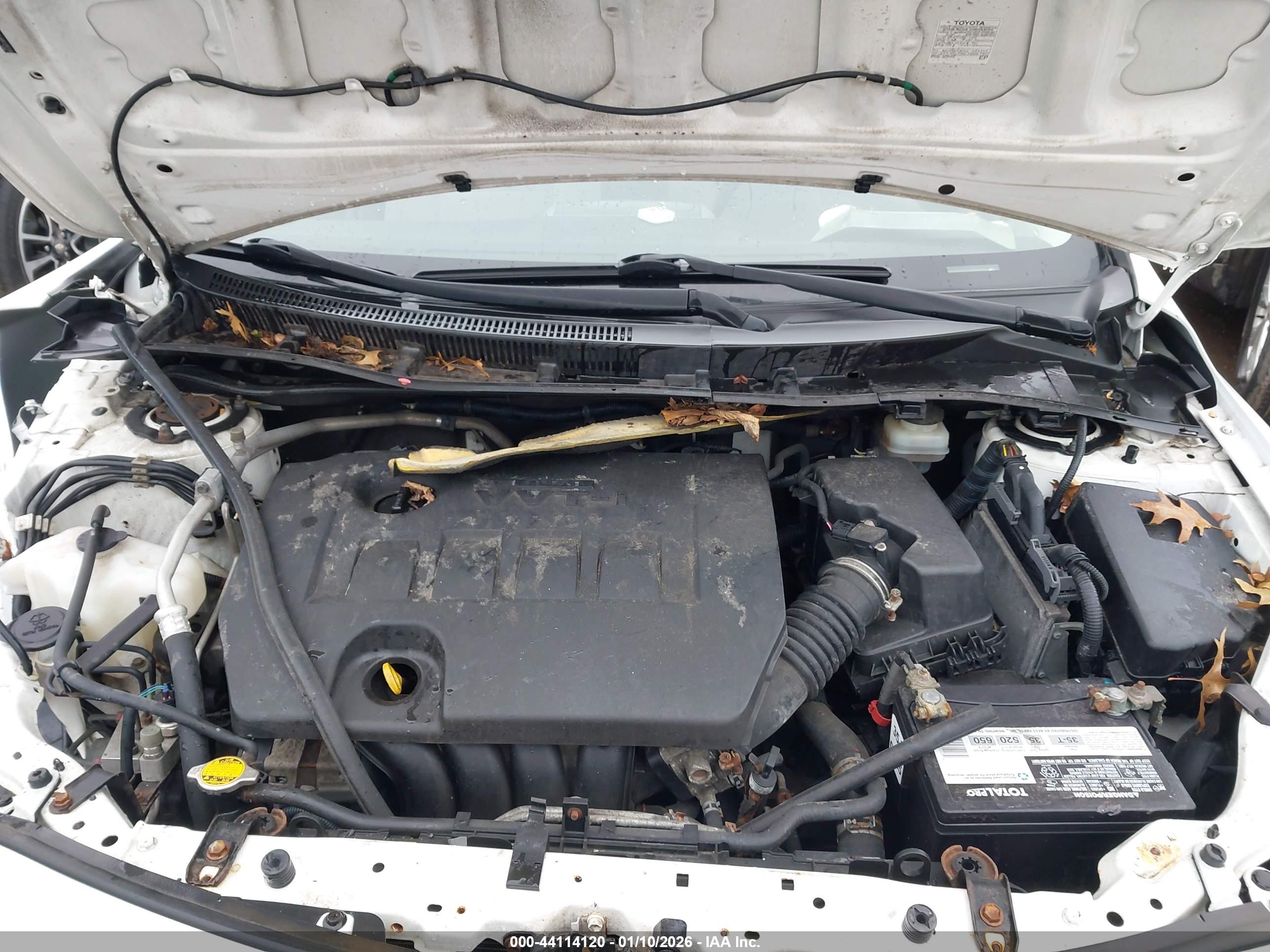 TOYOTA COROLLA image 10