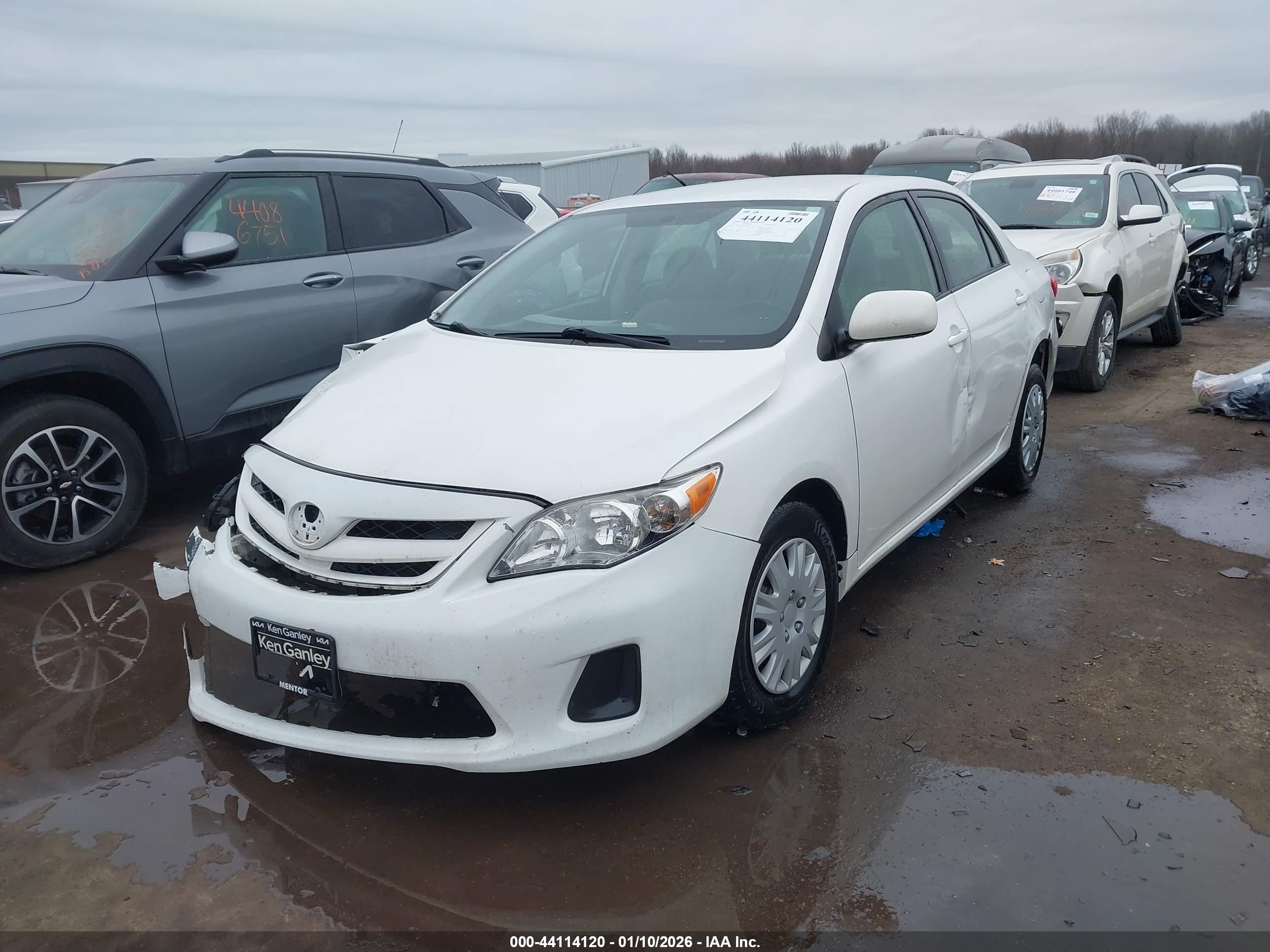 TOYOTA COROLLA image 2