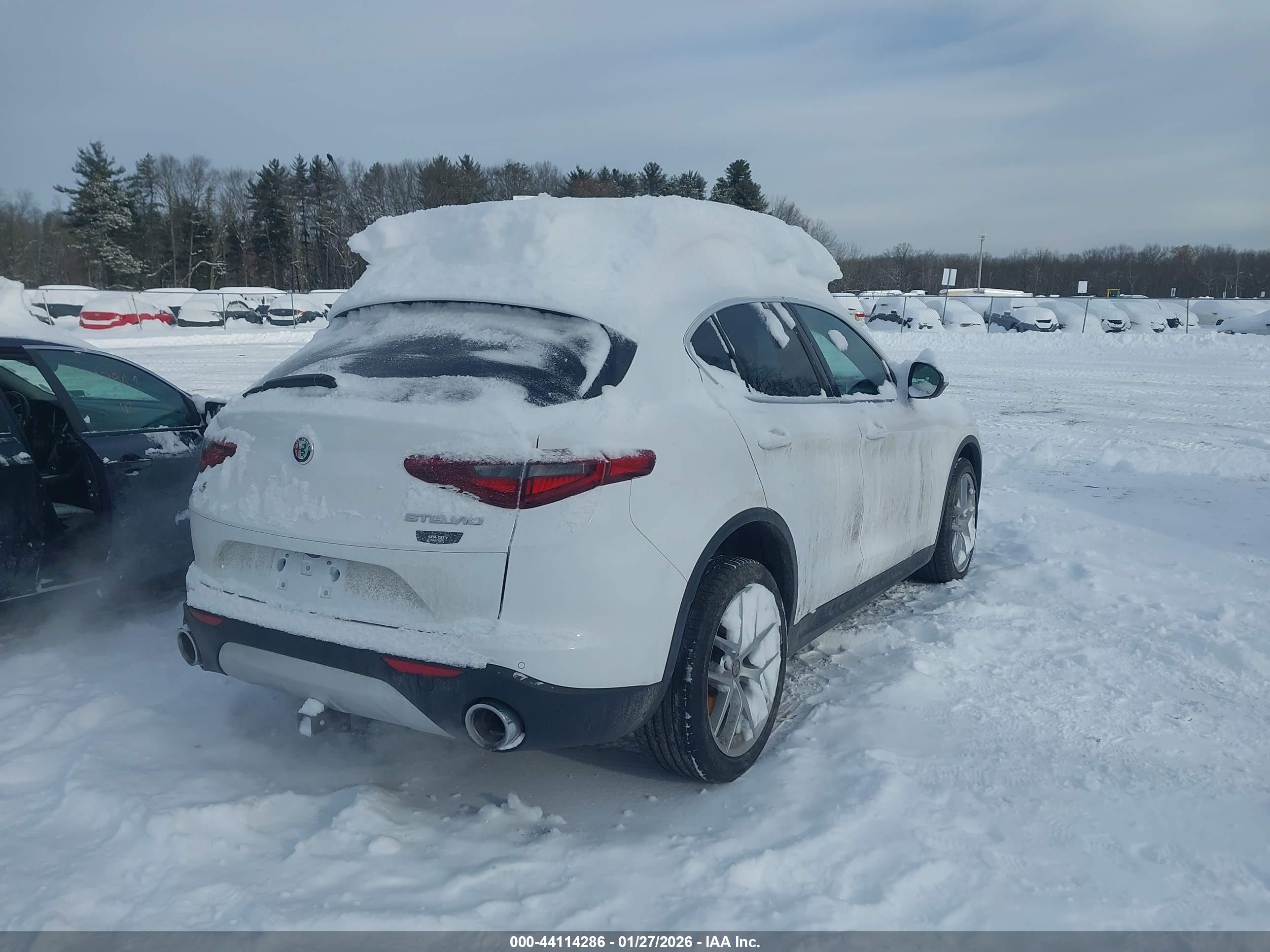 ALFA ROMEO image 4