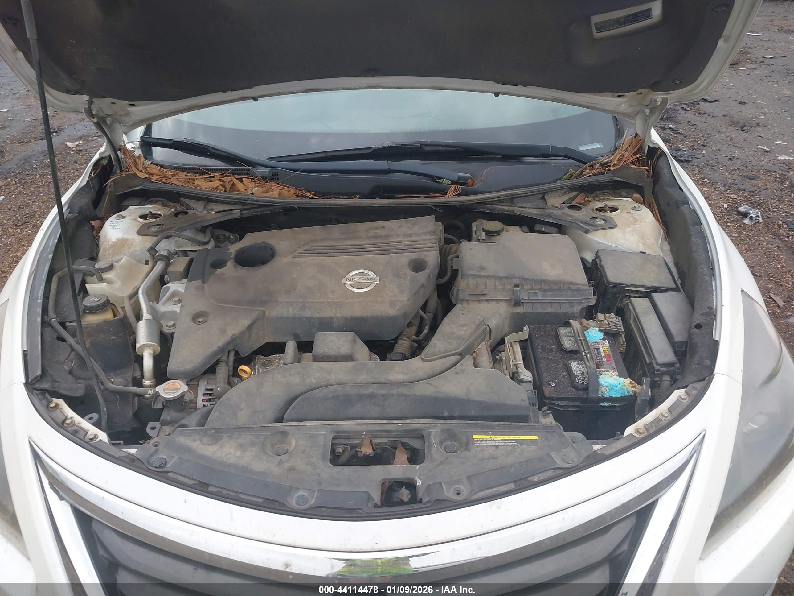 NISSAN ALTIMA image 10