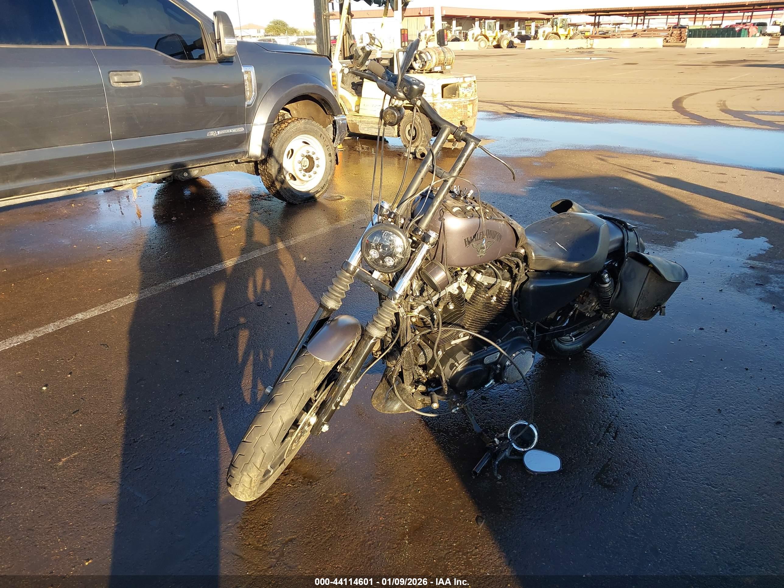 HARLEY-DAVIDSON XL883 image 2