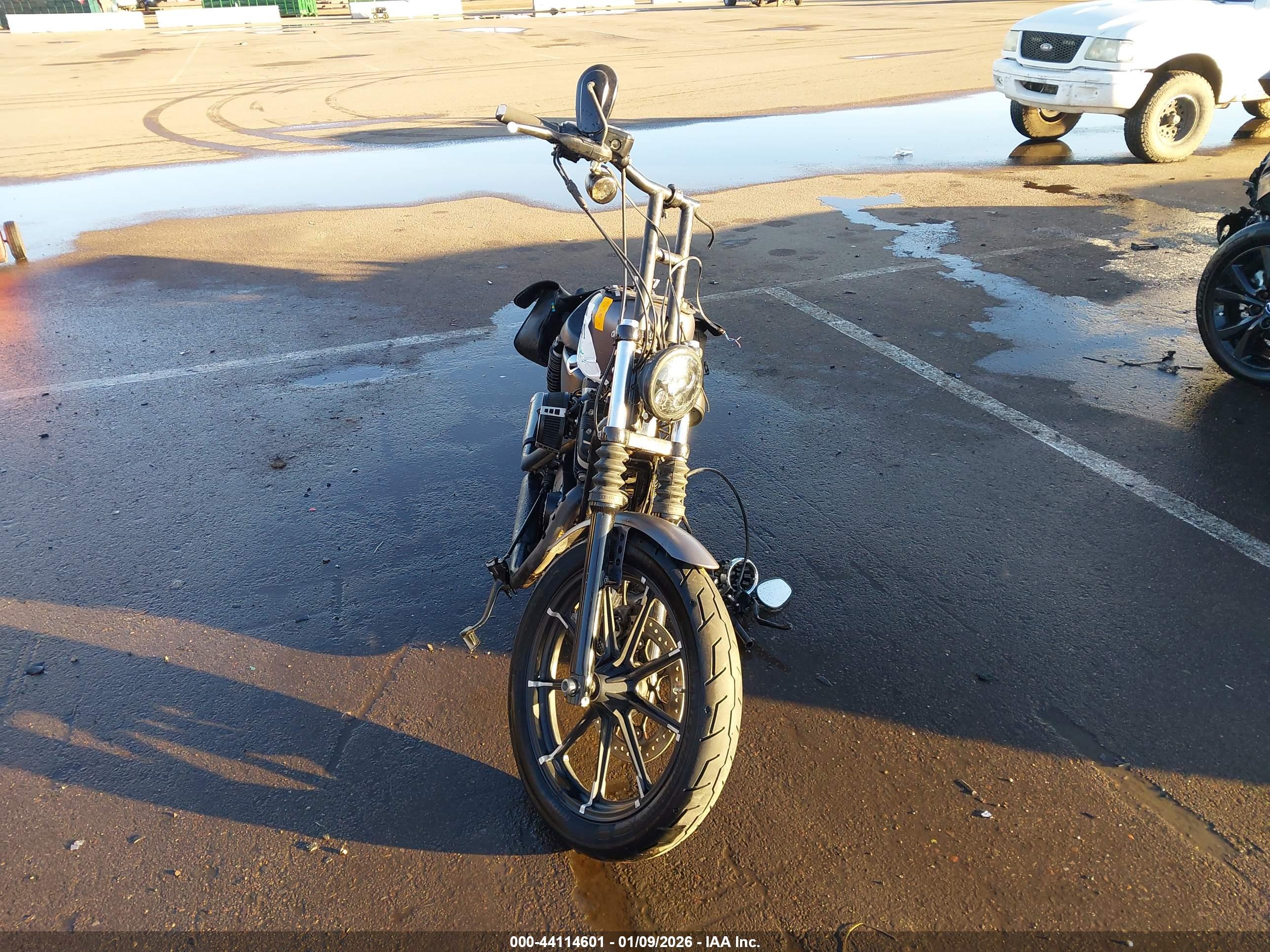 HARLEY-DAVIDSON XL883 image 5