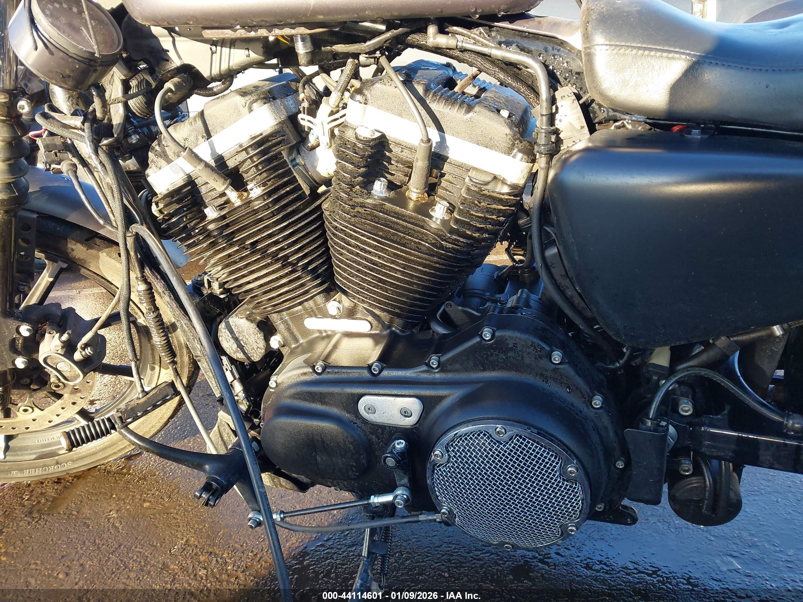 HARLEY-DAVIDSON XL883 image 9